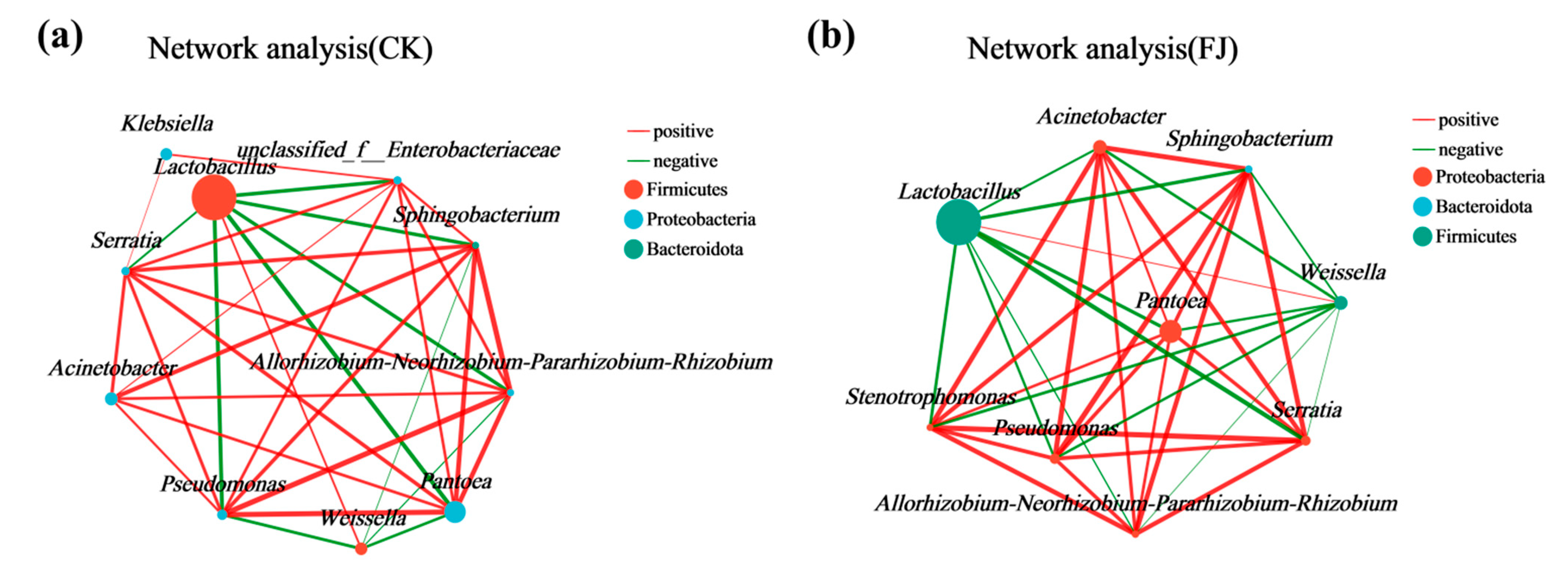 Microorganisms 14 00065 g005