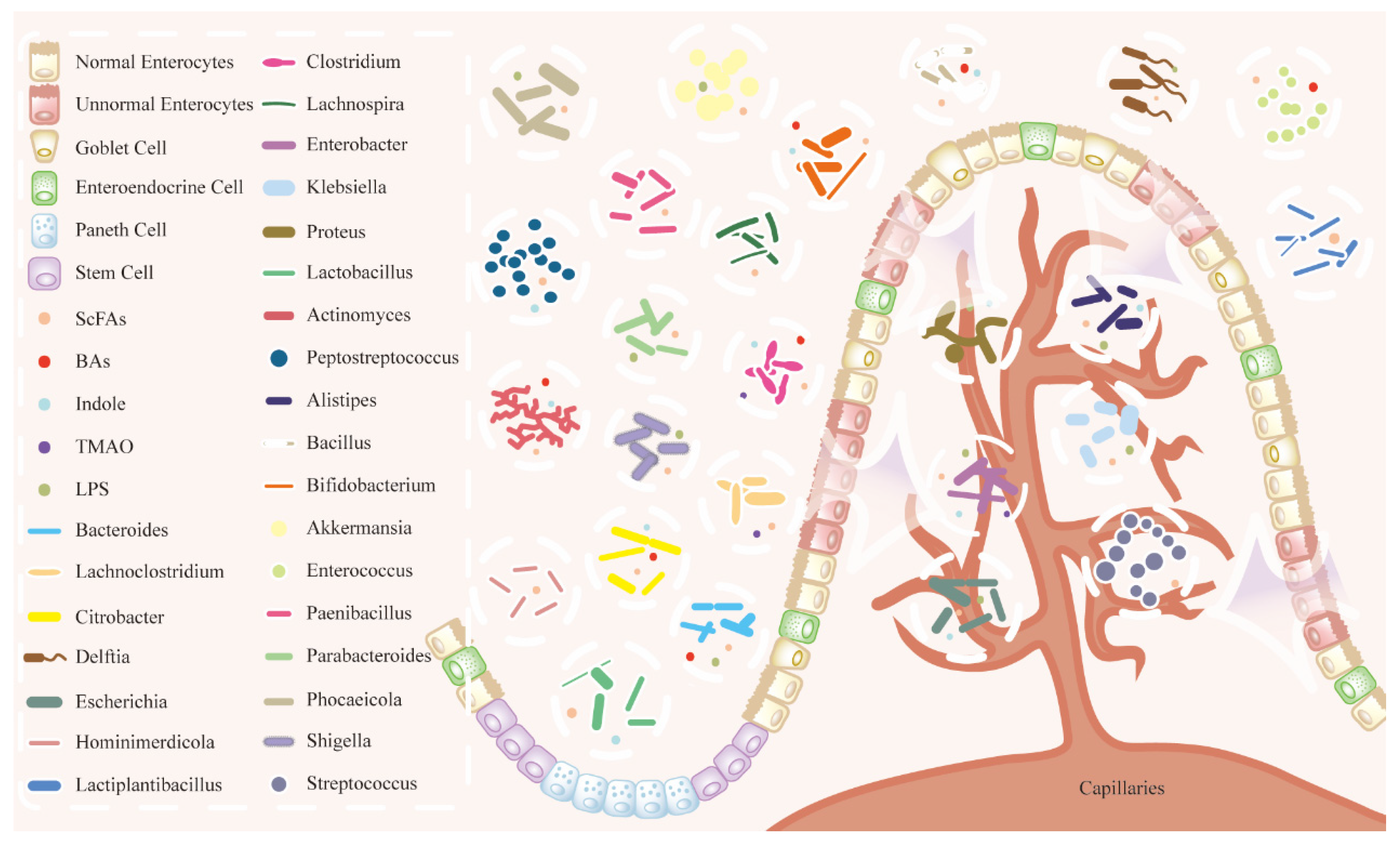 Microorganisms 14 00073 g001