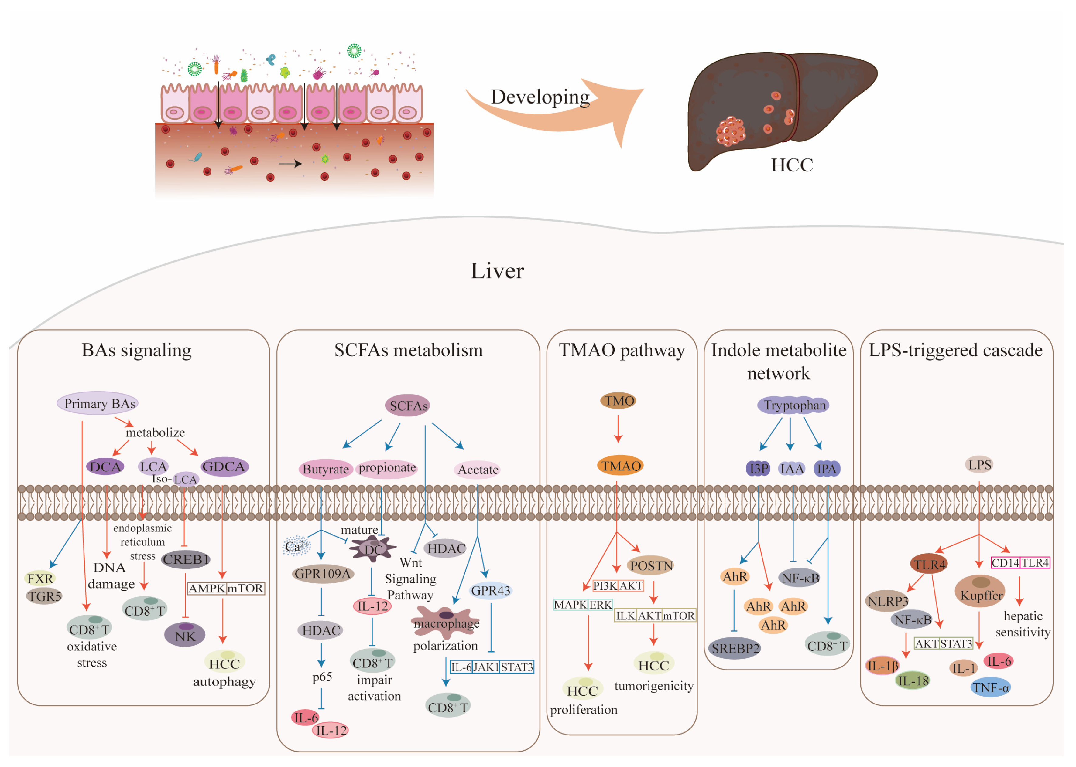 Microorganisms 14 00073 g003