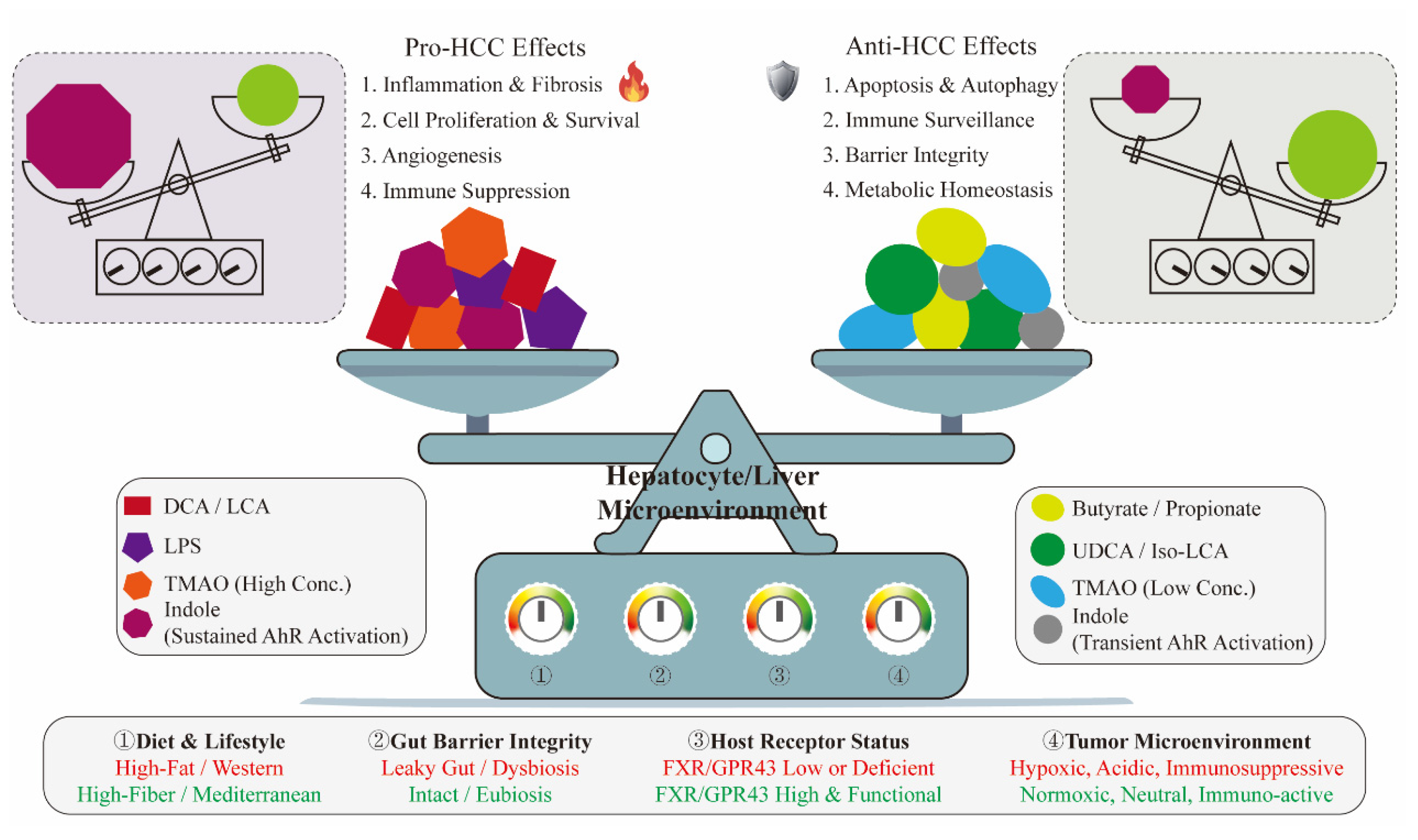 Microorganisms 14 00073 g004