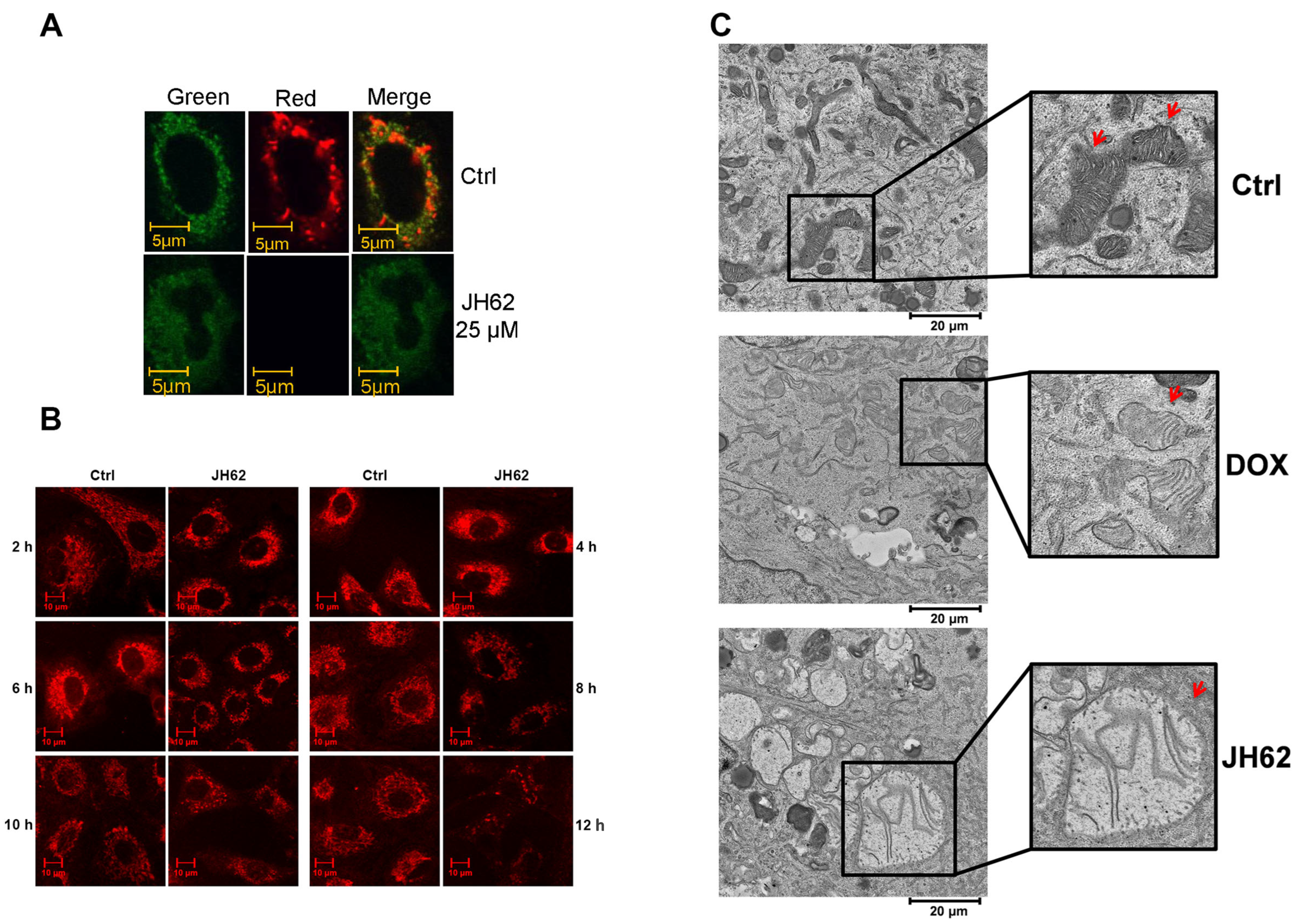 Microorganisms 14 00078 g003