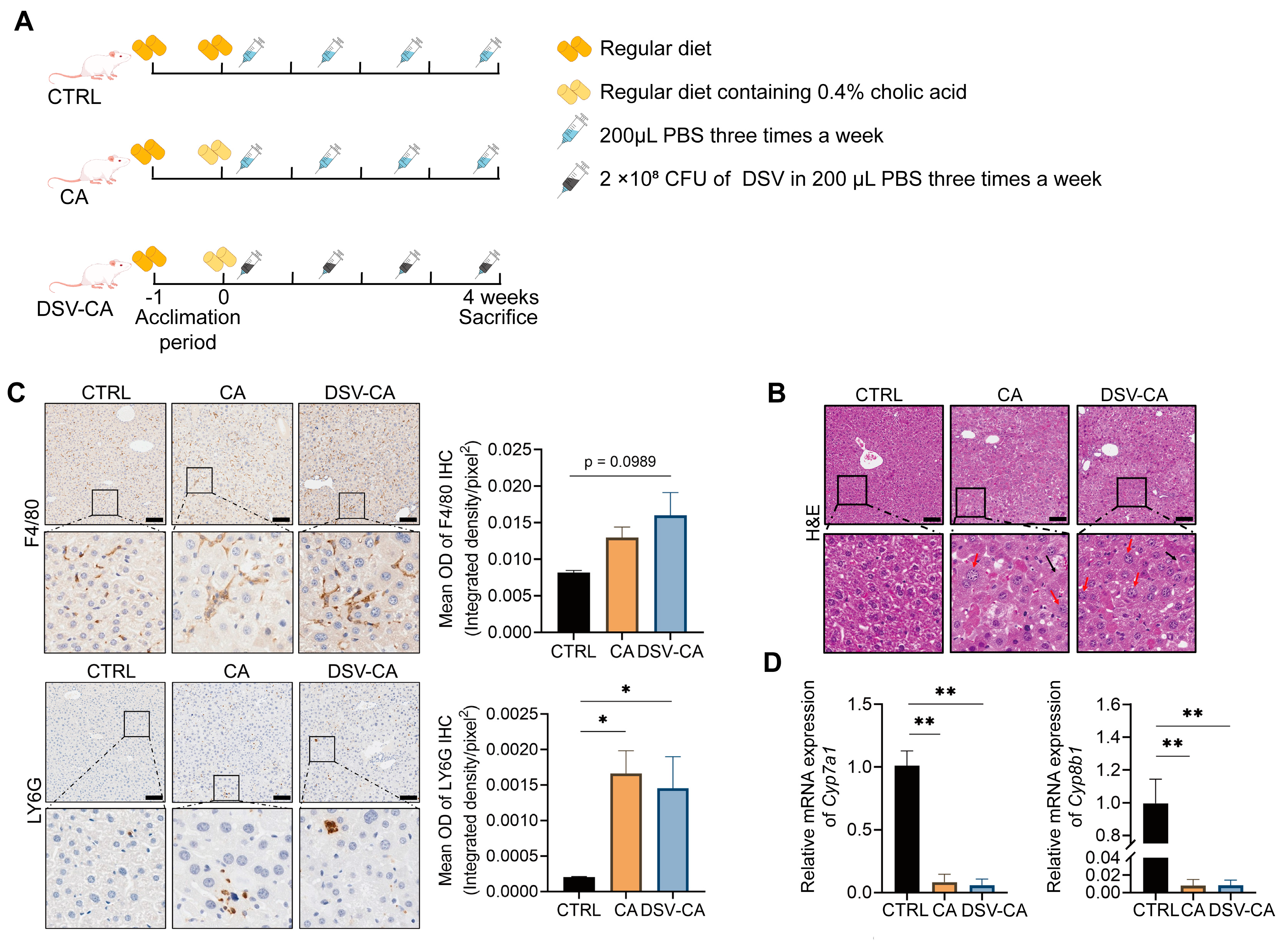 Microorganisms 14 00079 g001