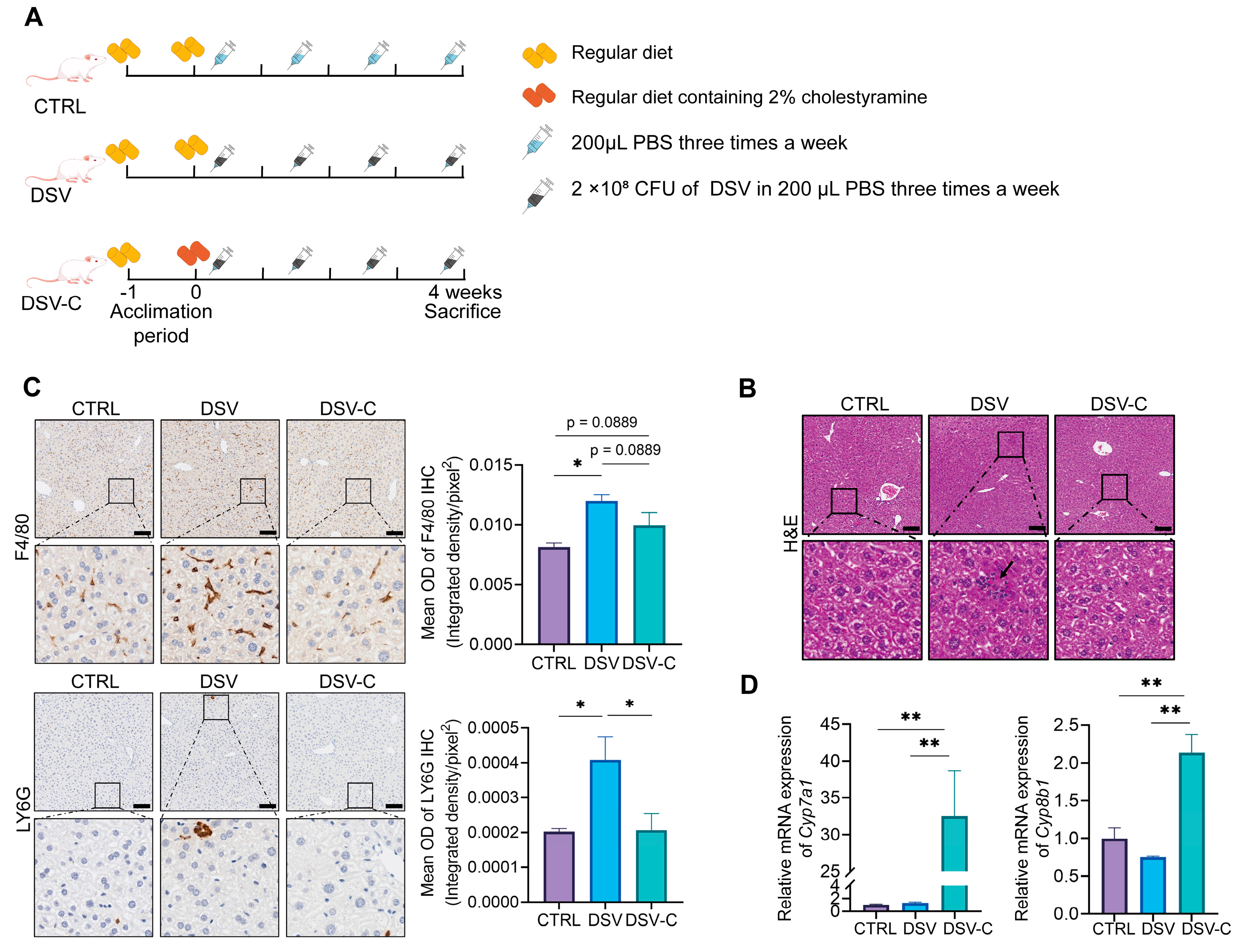 Microorganisms 14 00079 g003