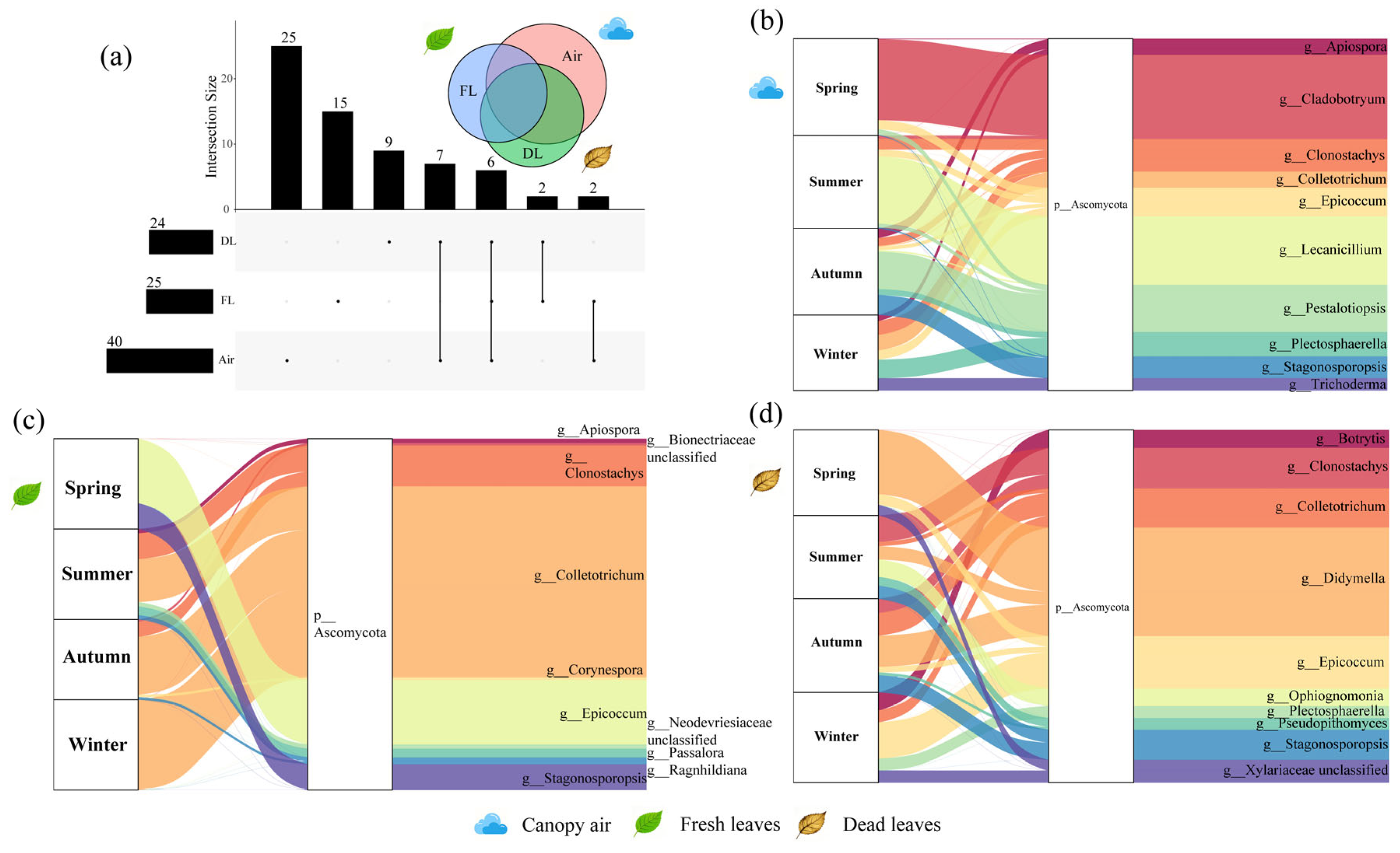 Microorganisms 14 00084 g001