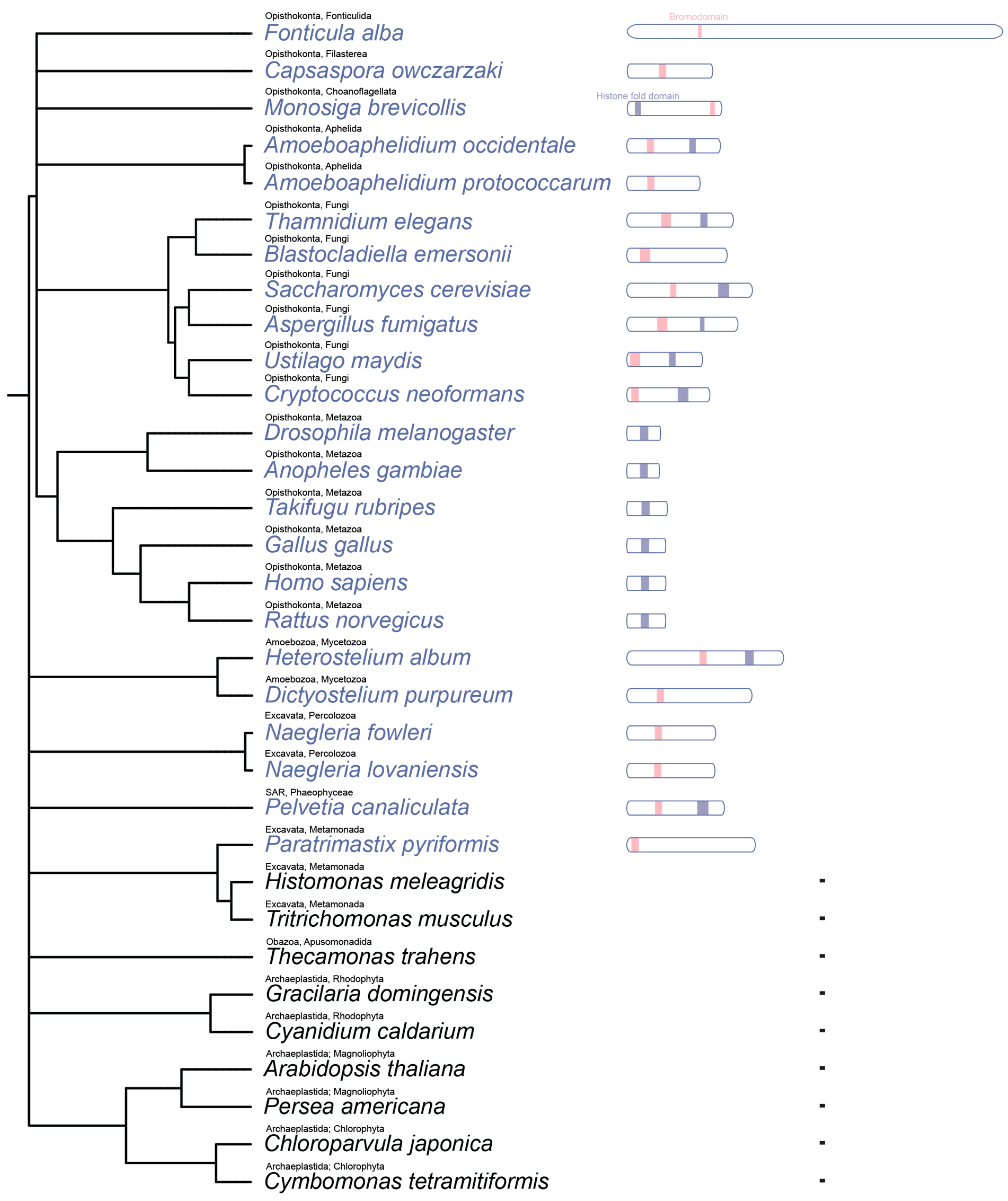 Microorganisms 14 00095 g001