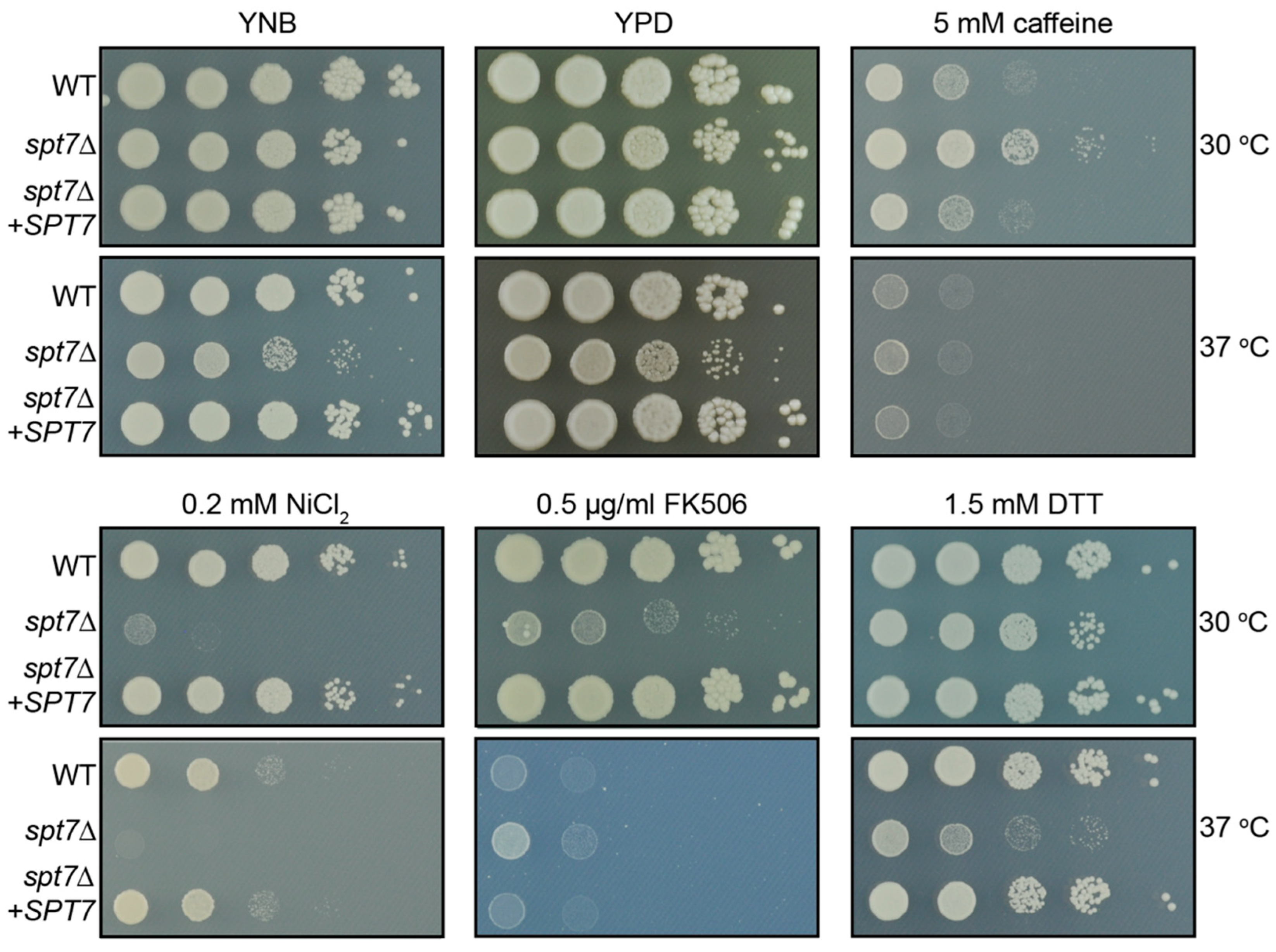 Microorganisms 14 00095 g002