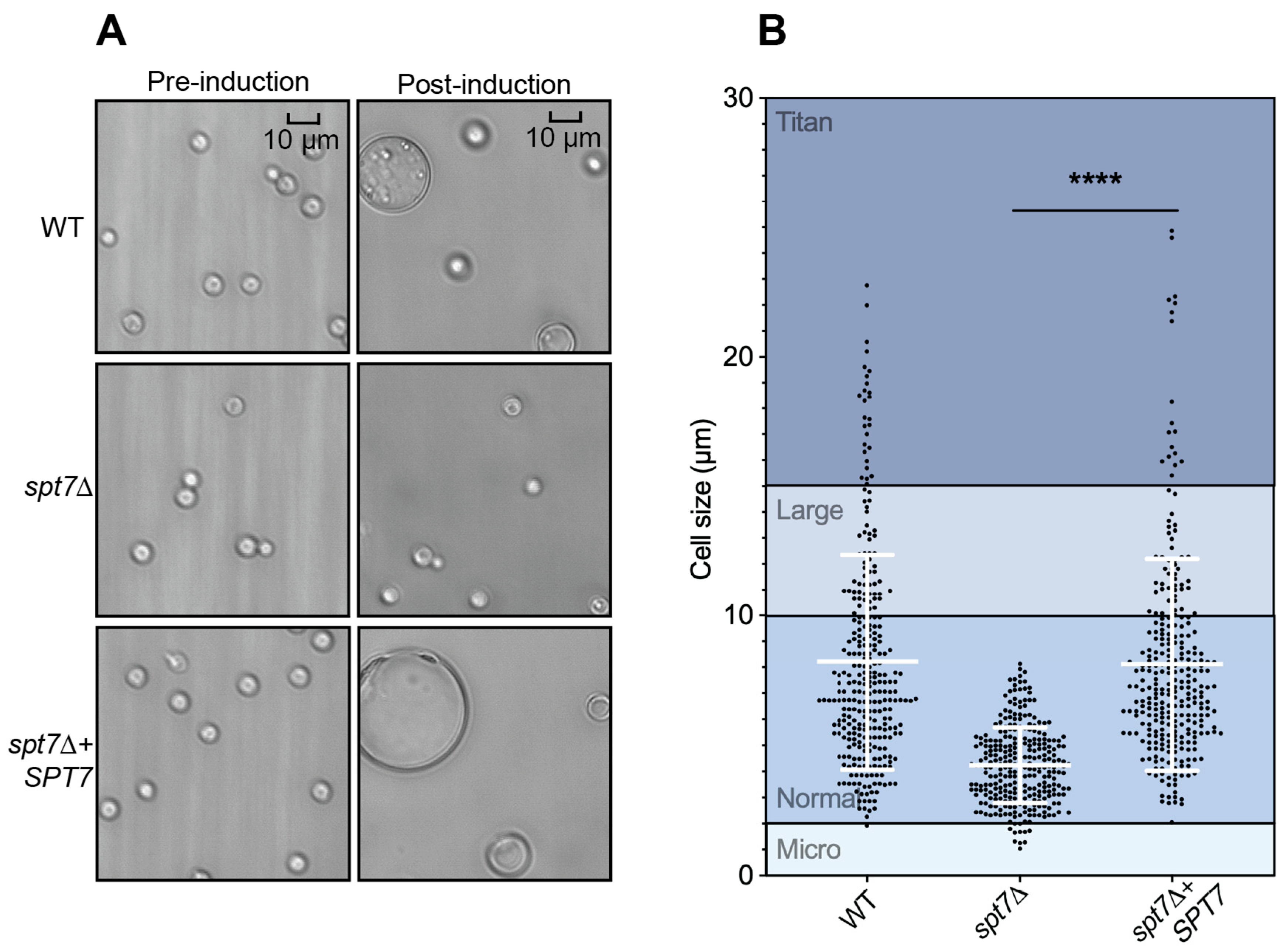 Microorganisms 14 00095 g006