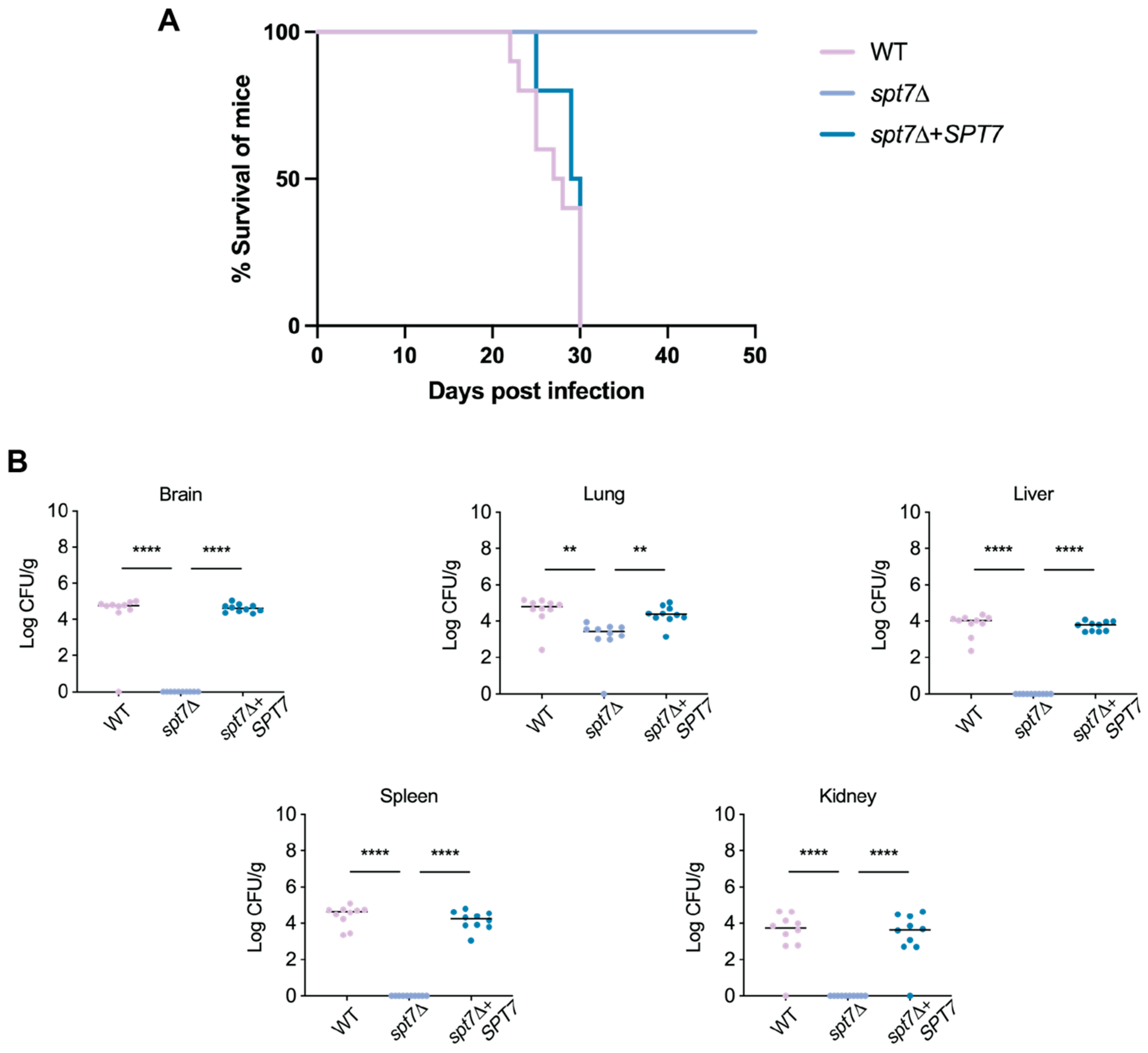 Microorganisms 14 00095 g007