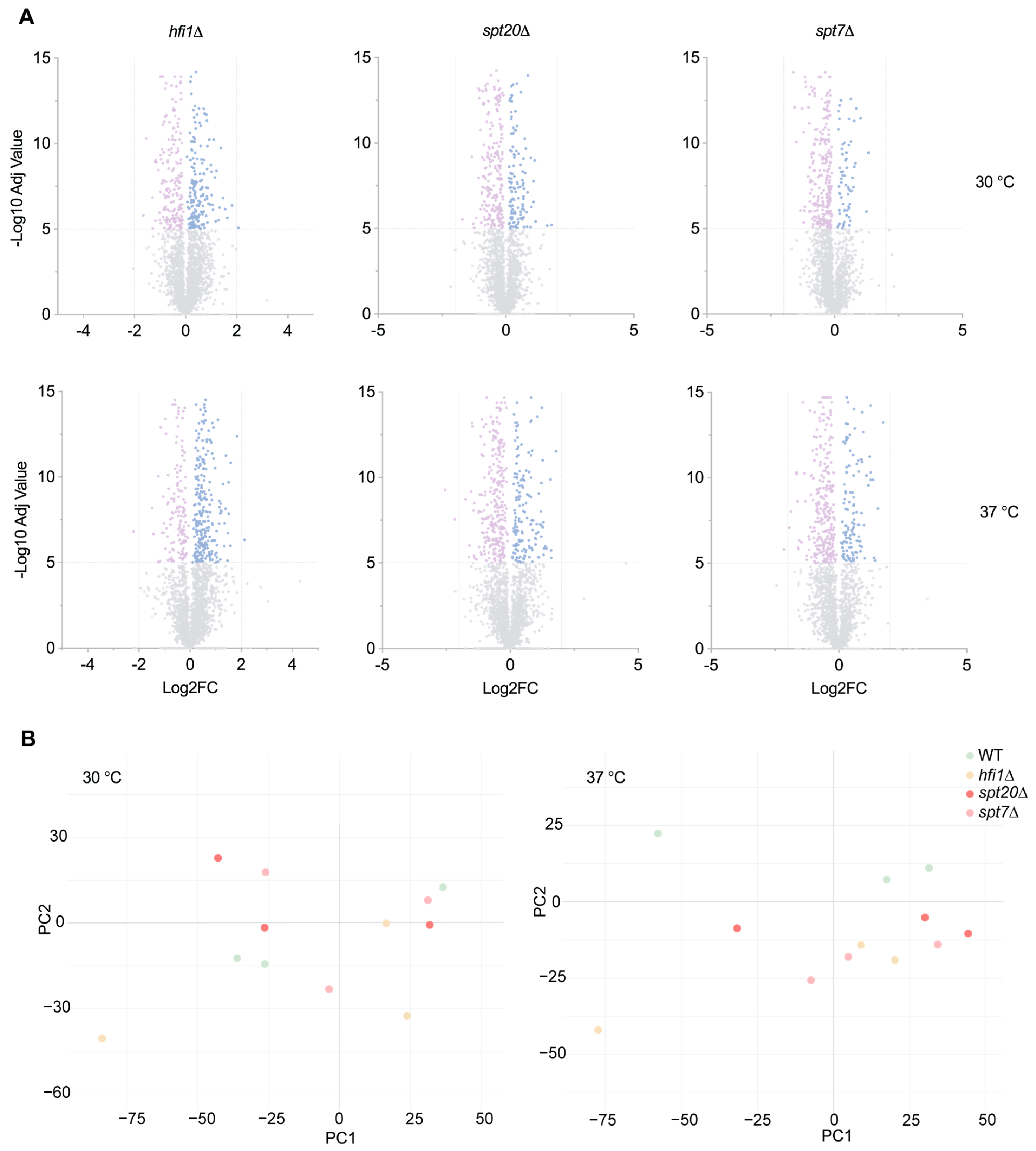 Microorganisms 14 00095 g010