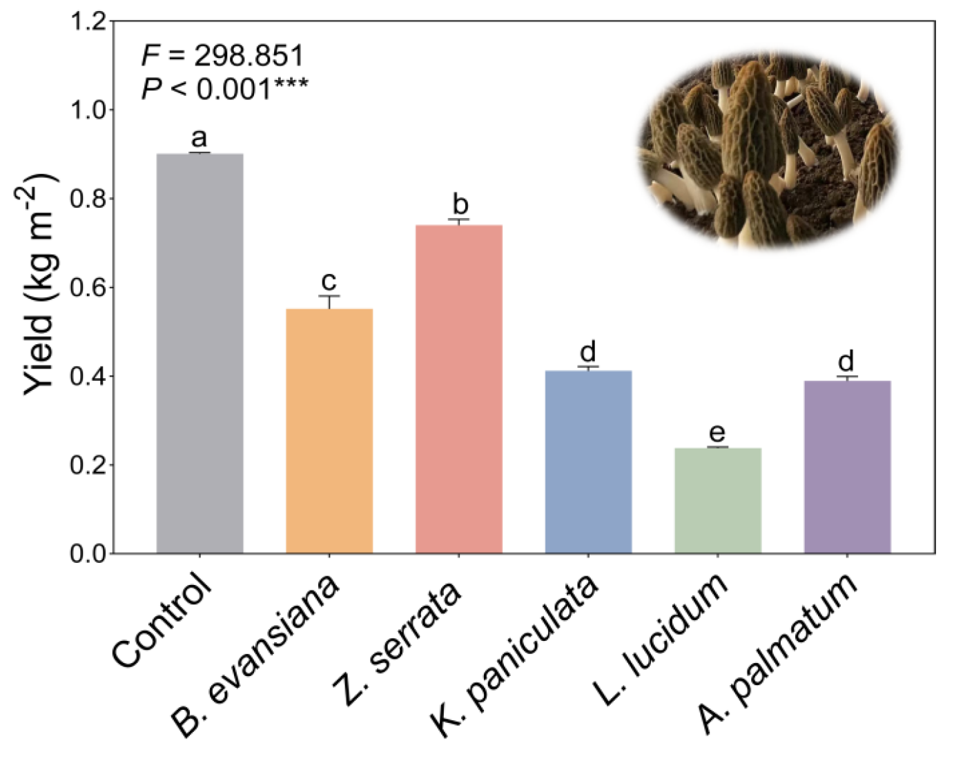 Microorganisms 14 00099 g001 Microorganisms 14 00099 g001