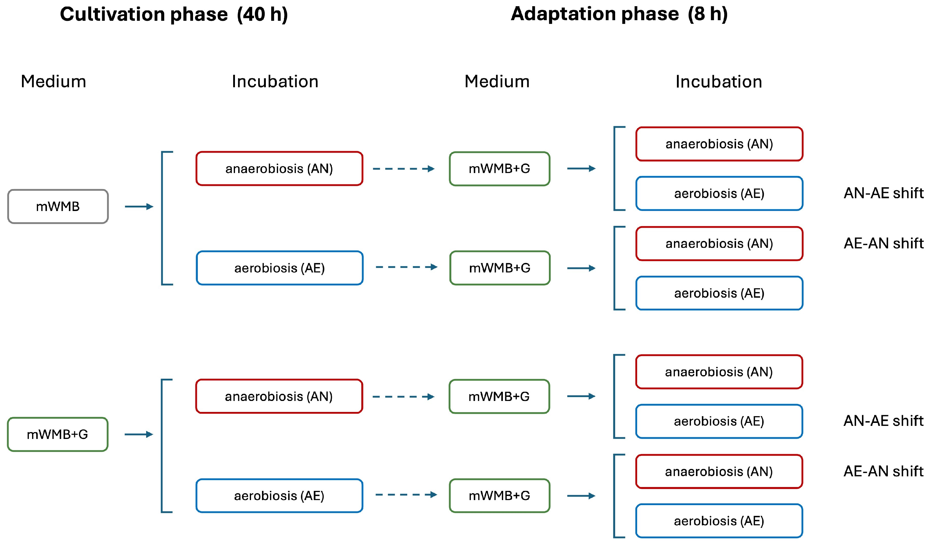 Microorganisms 14 00108 g001 Microorganisms 14 00108 g001