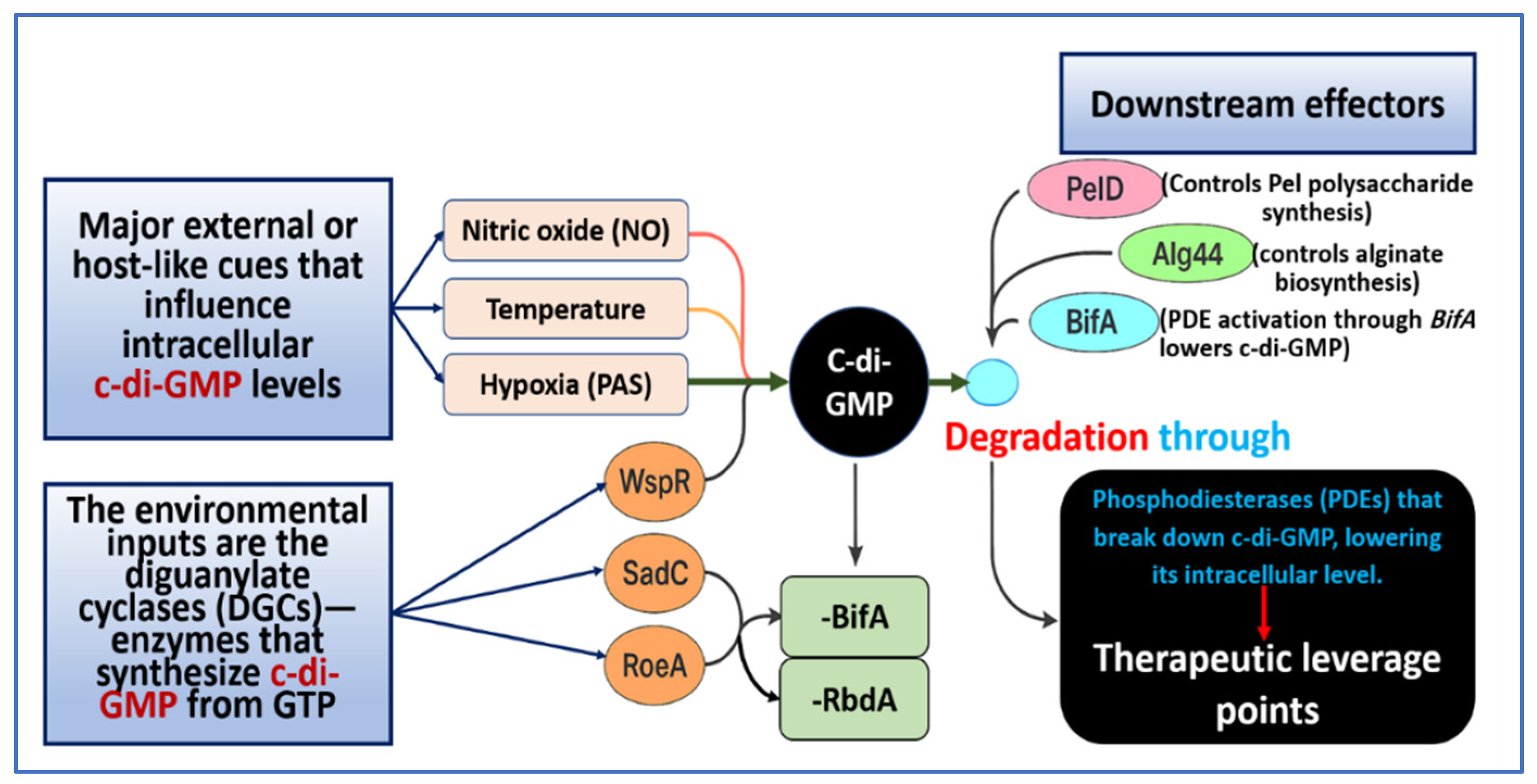 Microorganisms 14 00109 g002 Microorganisms 14 00109 g002