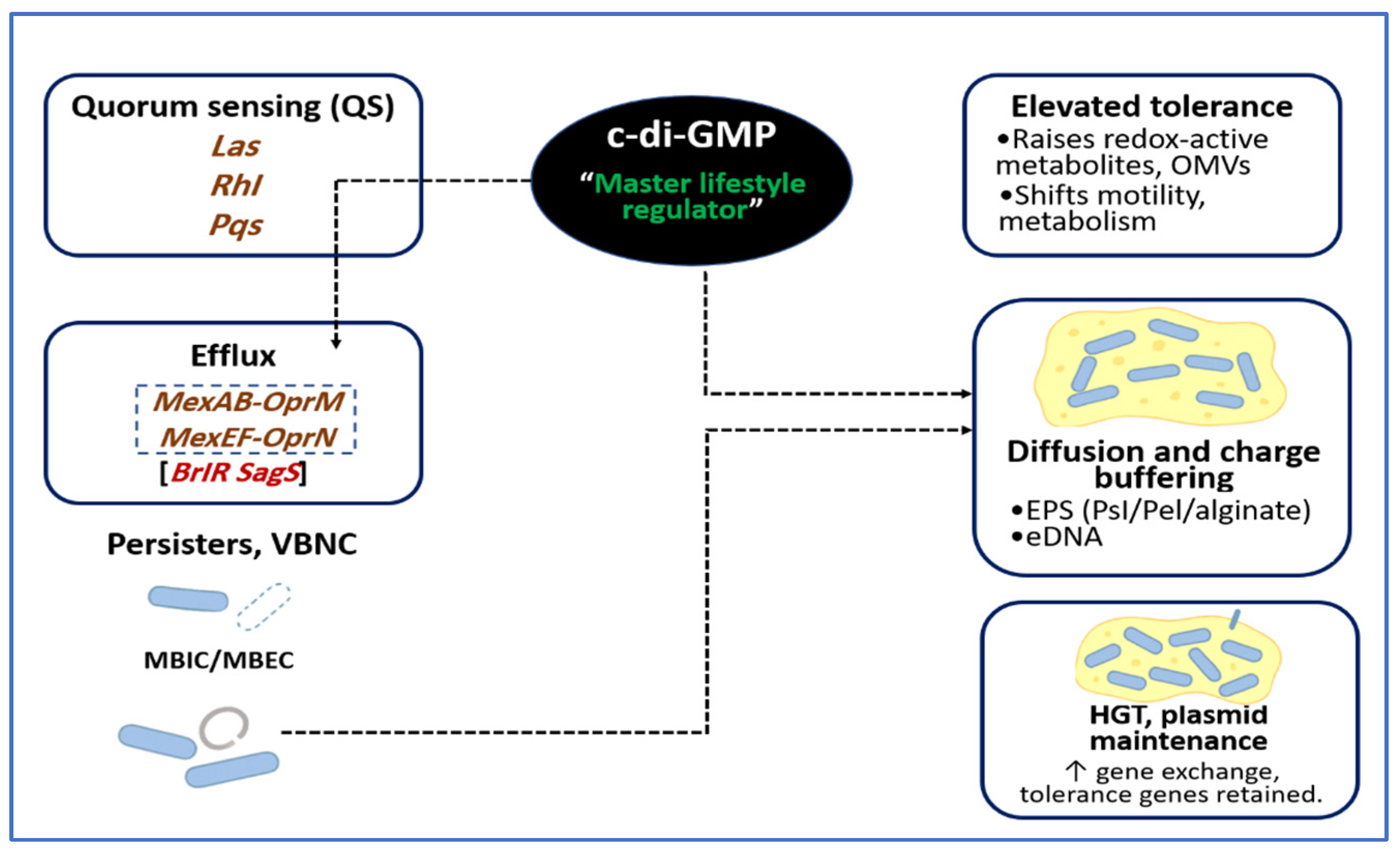 Microorganisms 14 00109 g003 Microorganisms 14 00109 g003