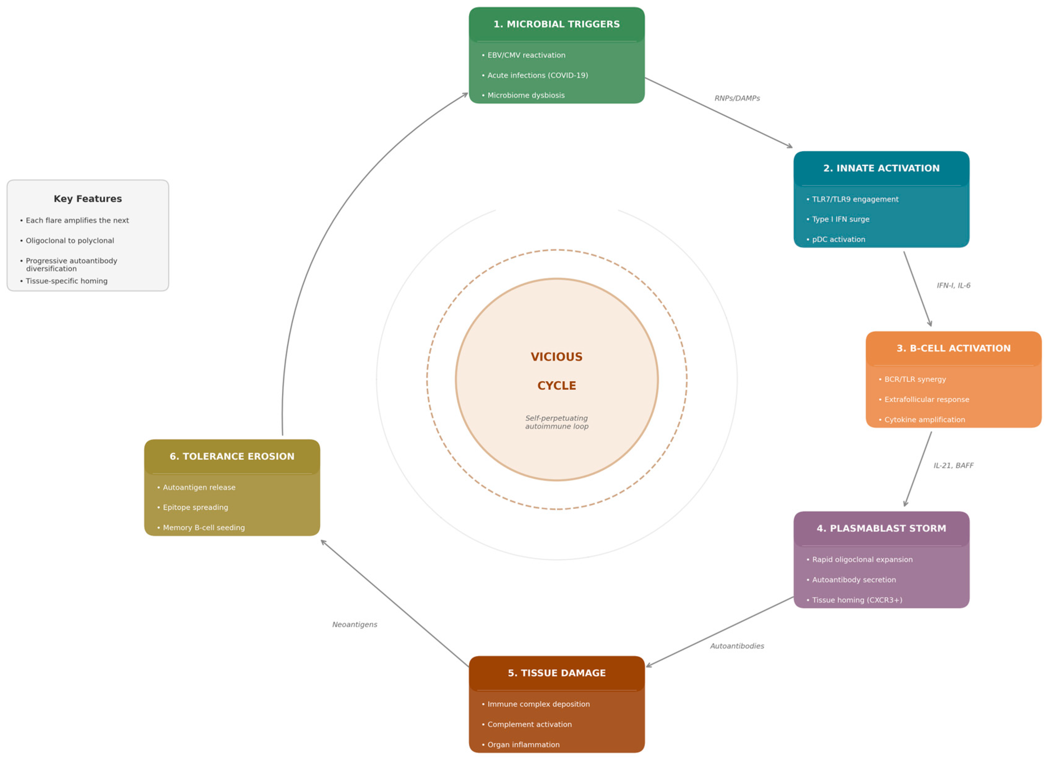 Microorganisms 14 00152 g001