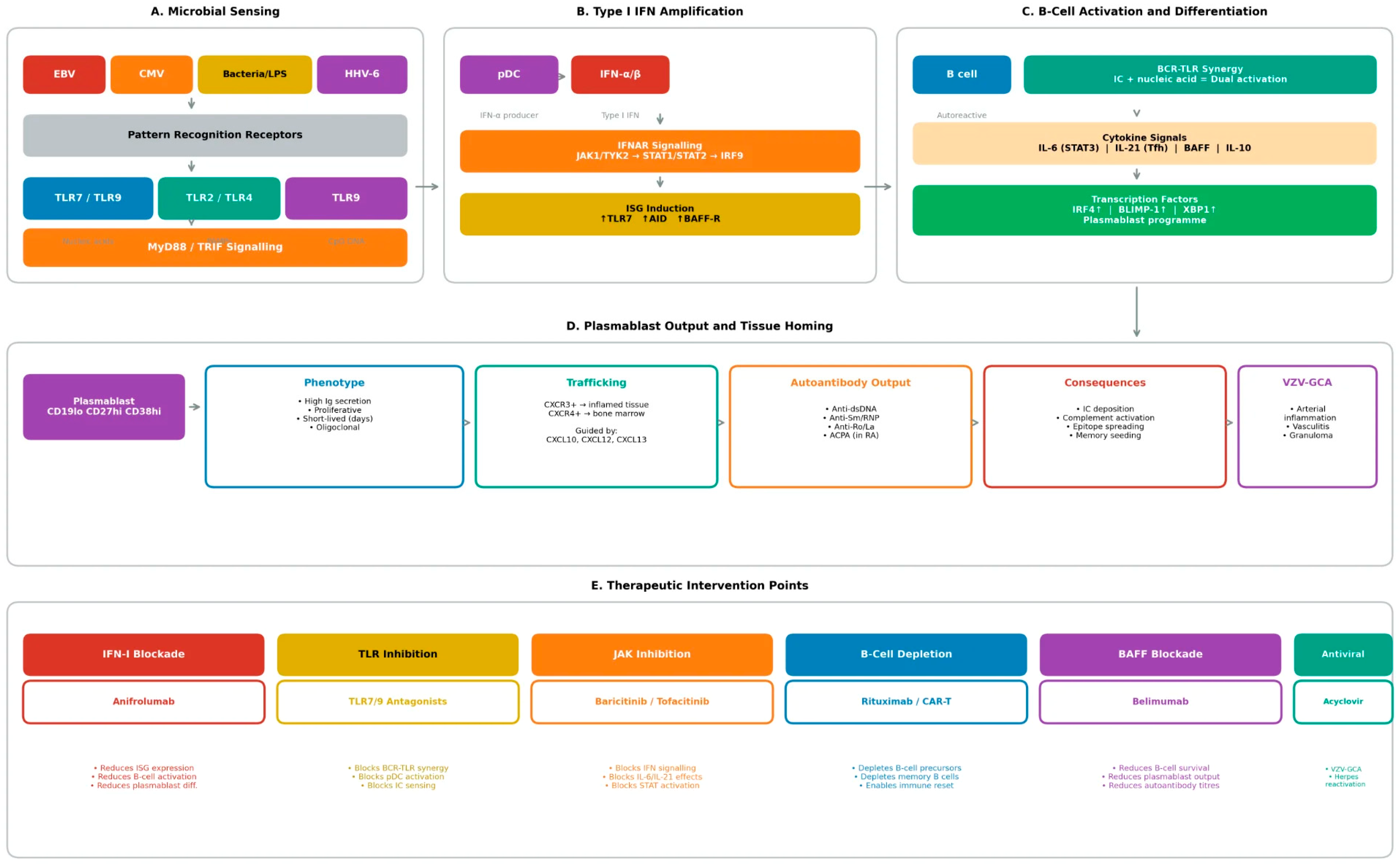 Microorganisms 14 00152 g002