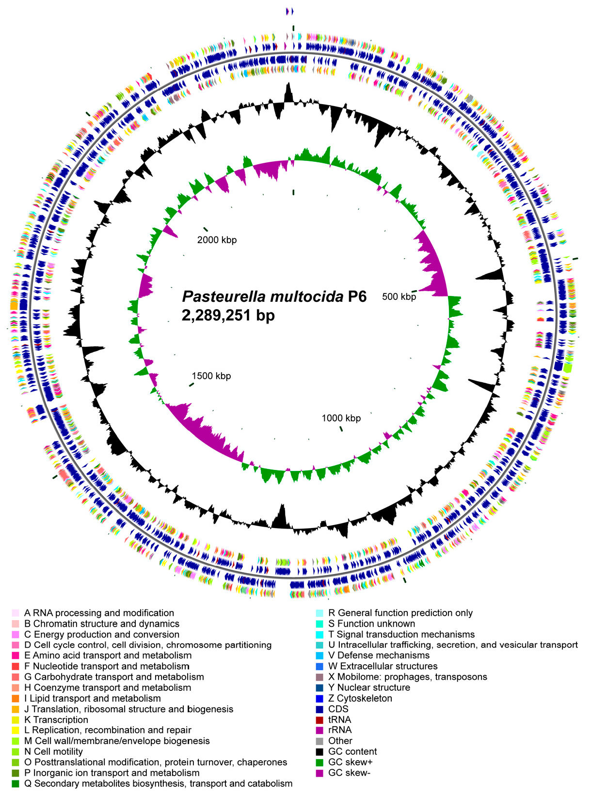 Microorganisms 14 00154 g002 Microorganisms 14 00154 g002