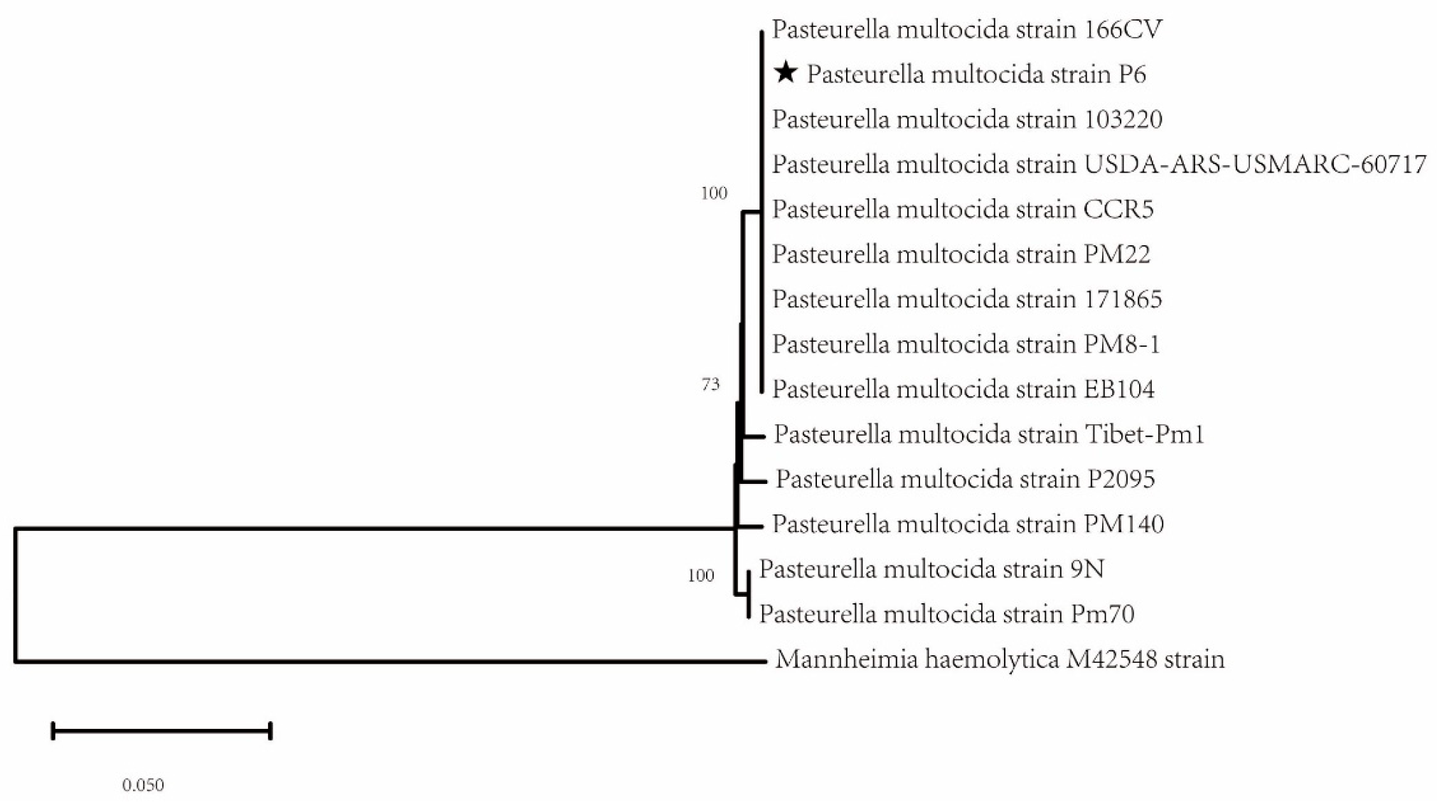 Microorganisms 14 00154 g003 Microorganisms 14 00154 g003