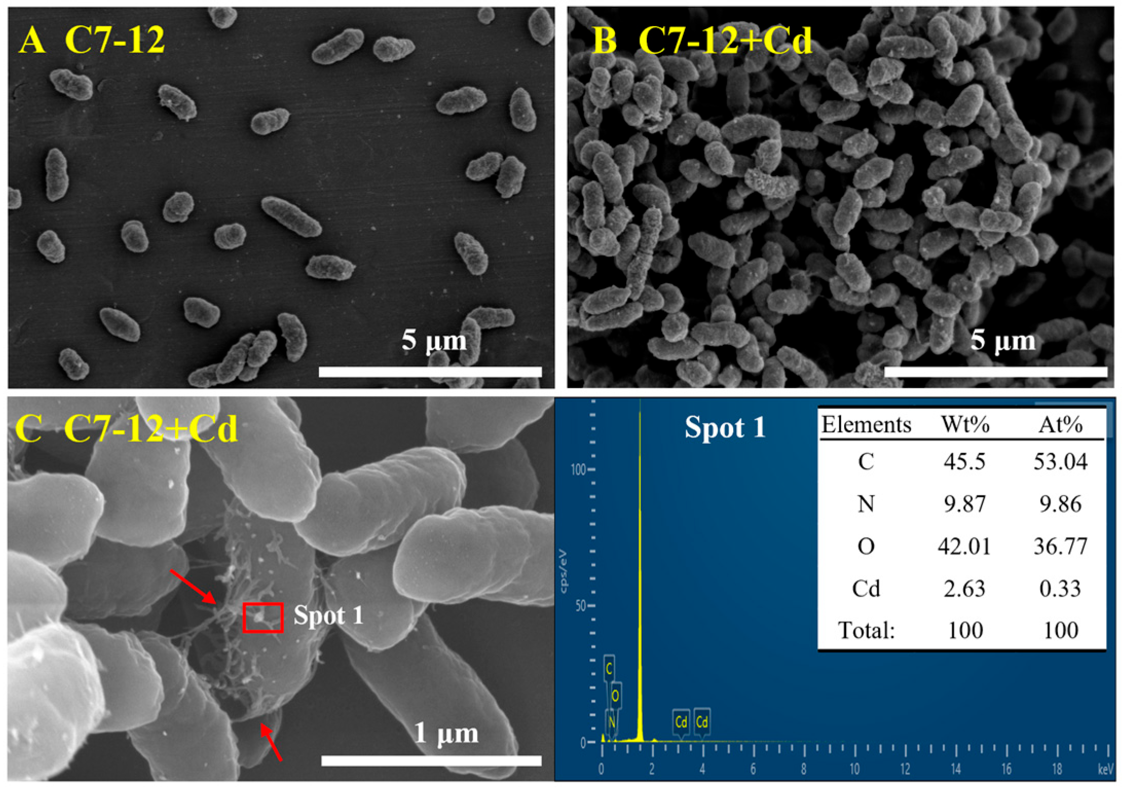 Microorganisms 14 00171 g006 Microorganisms 14 00171 g006