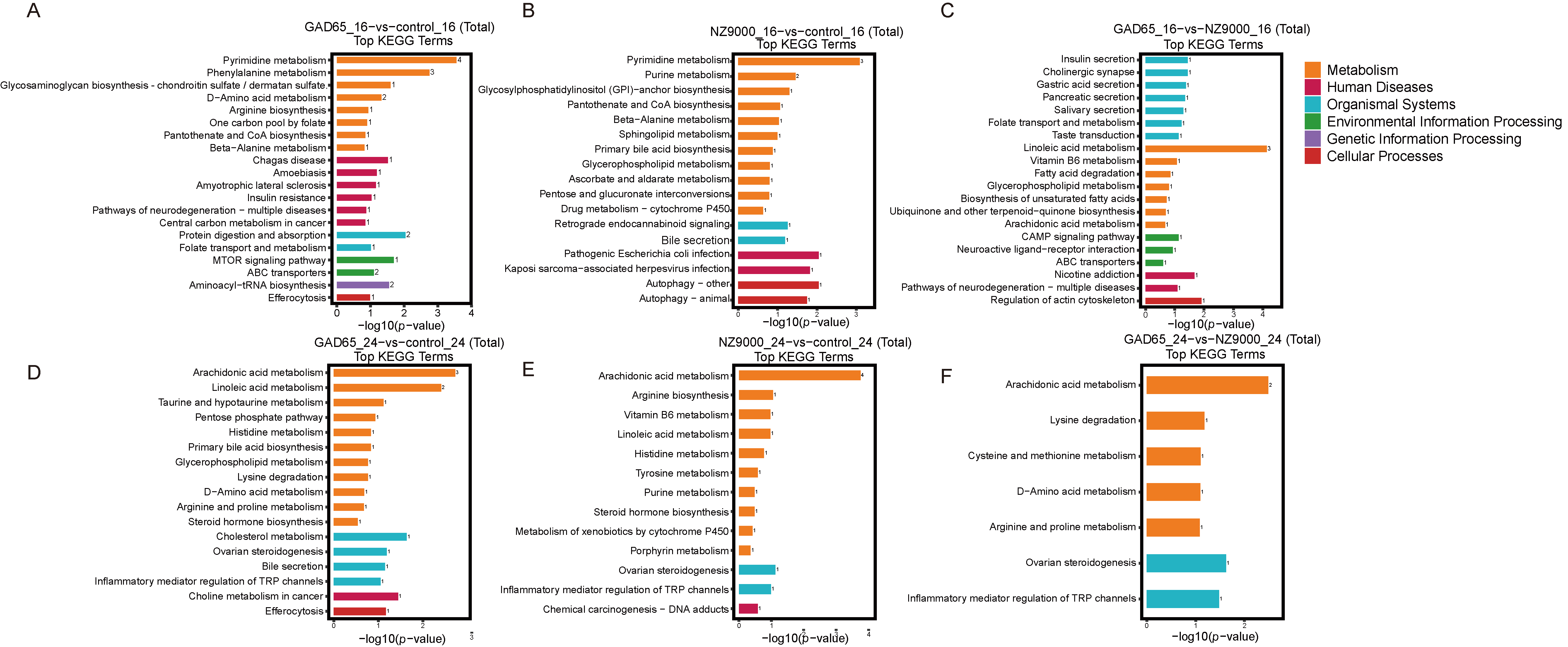 Microorganisms 14 00176 g006 Microorganisms 14 00176 g006