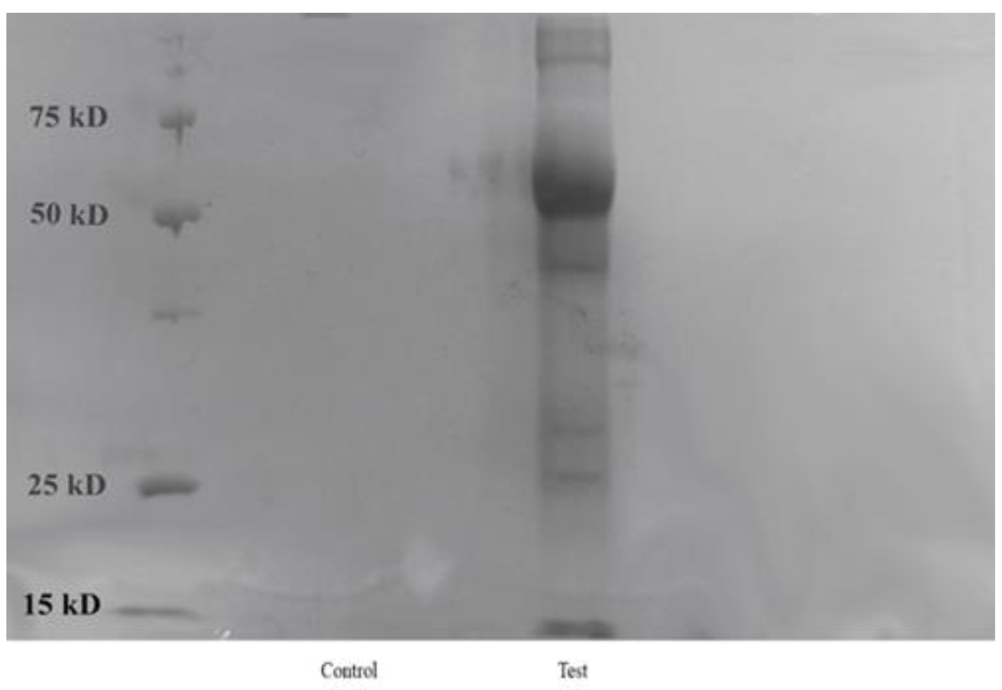 Microorganisms 14 00178 g008 Microorganisms 14 00178 g008