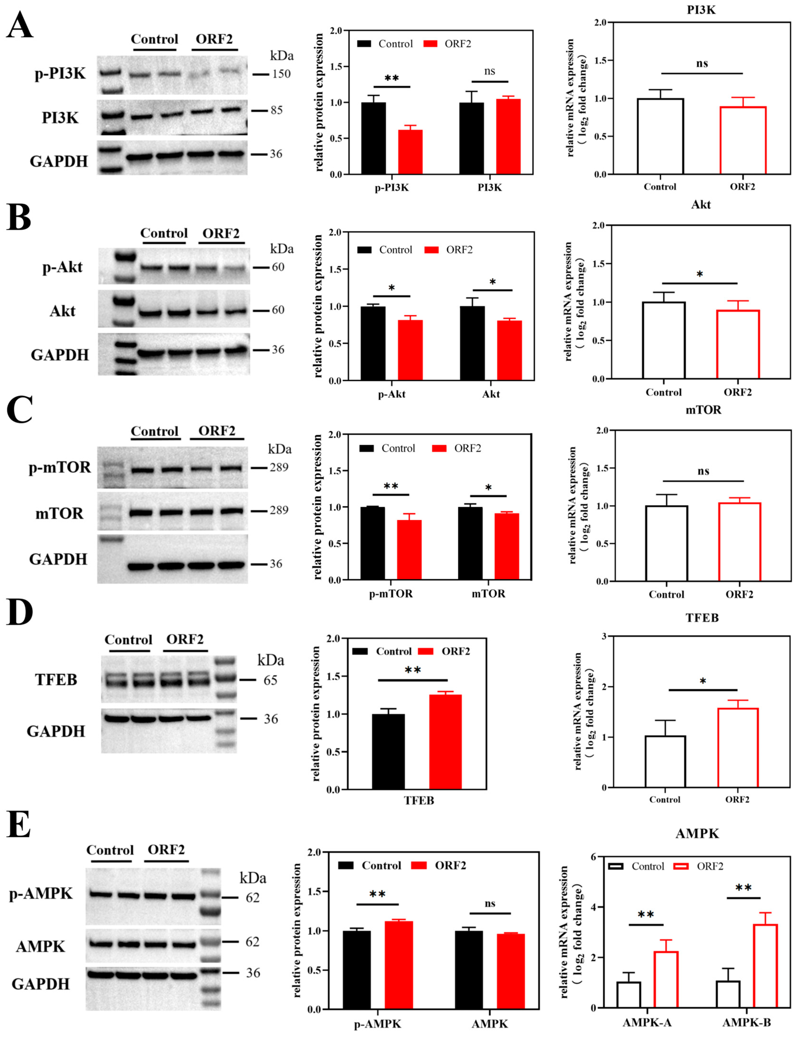 Microorganisms 14 00181 g002 Microorganisms 14 00181 g002