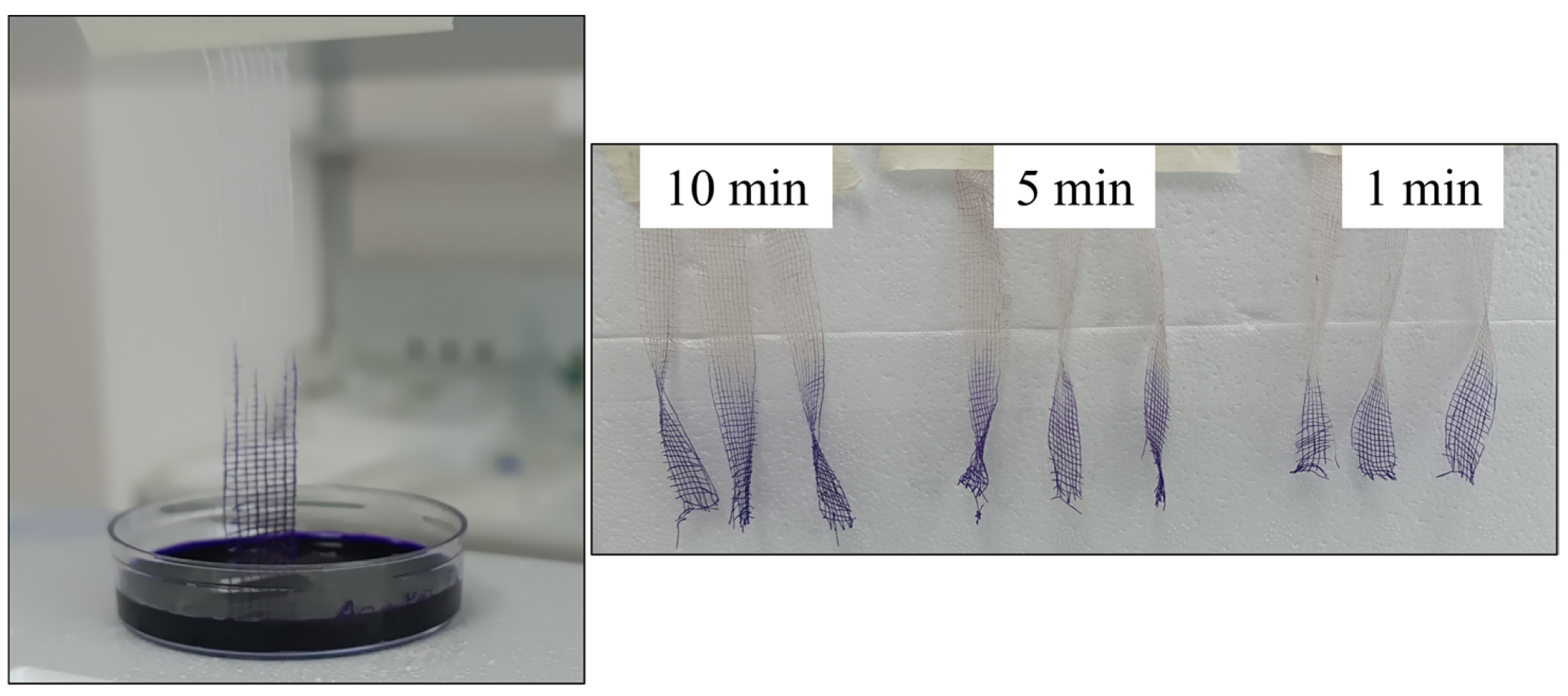 Microorganisms 14 00213 g003