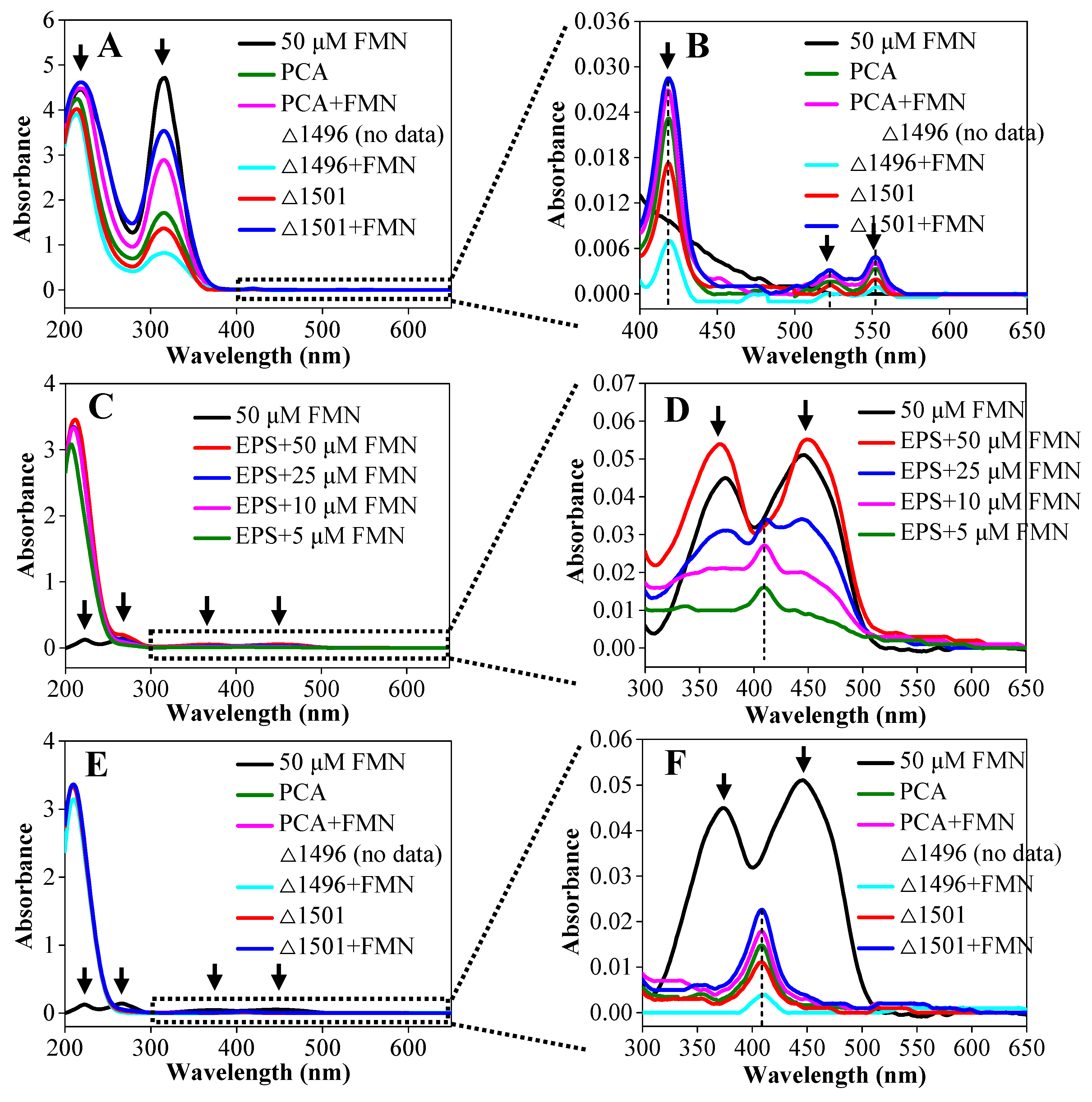 Microorganisms 14 00214 g003