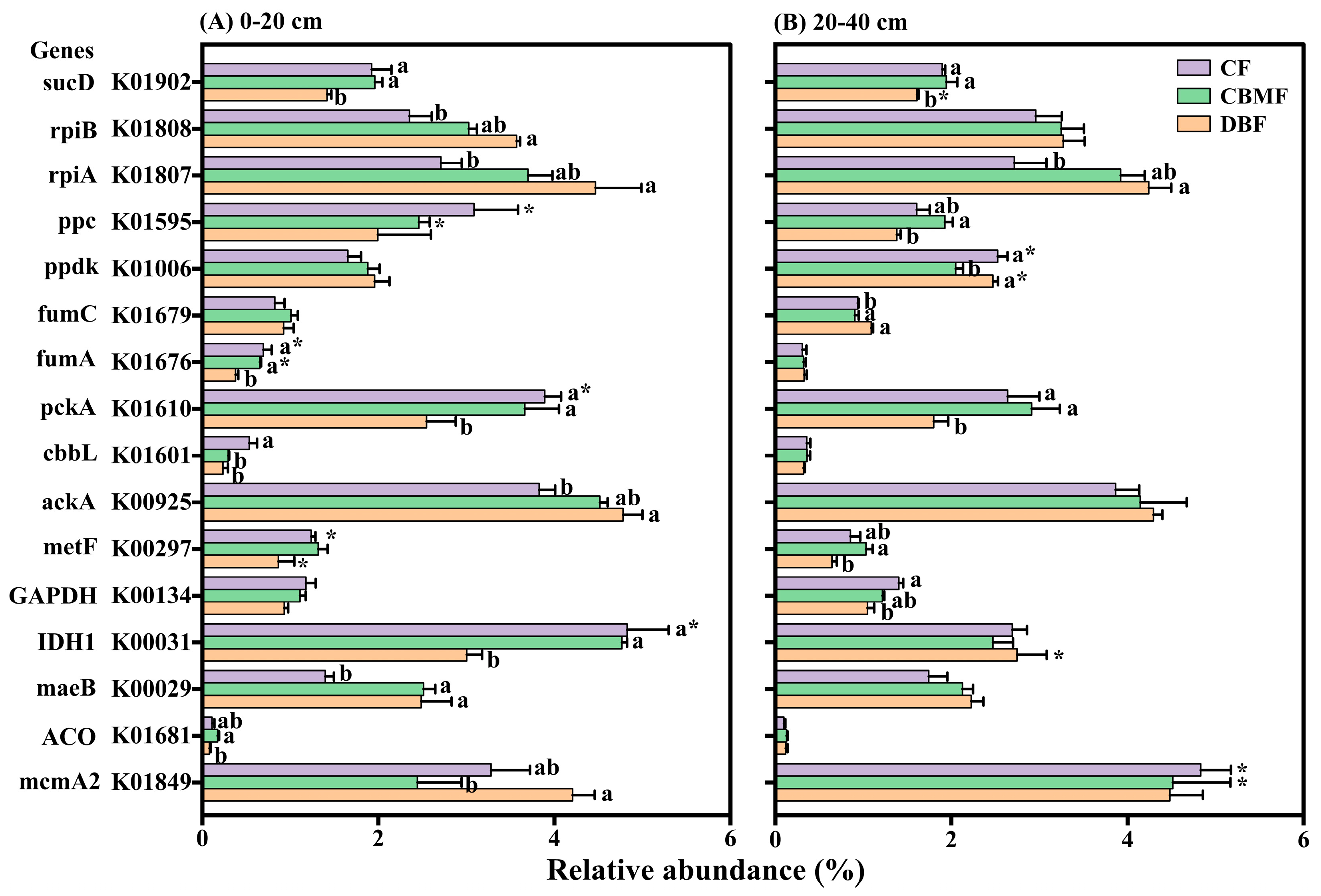 Microorganisms 14 00220 g004