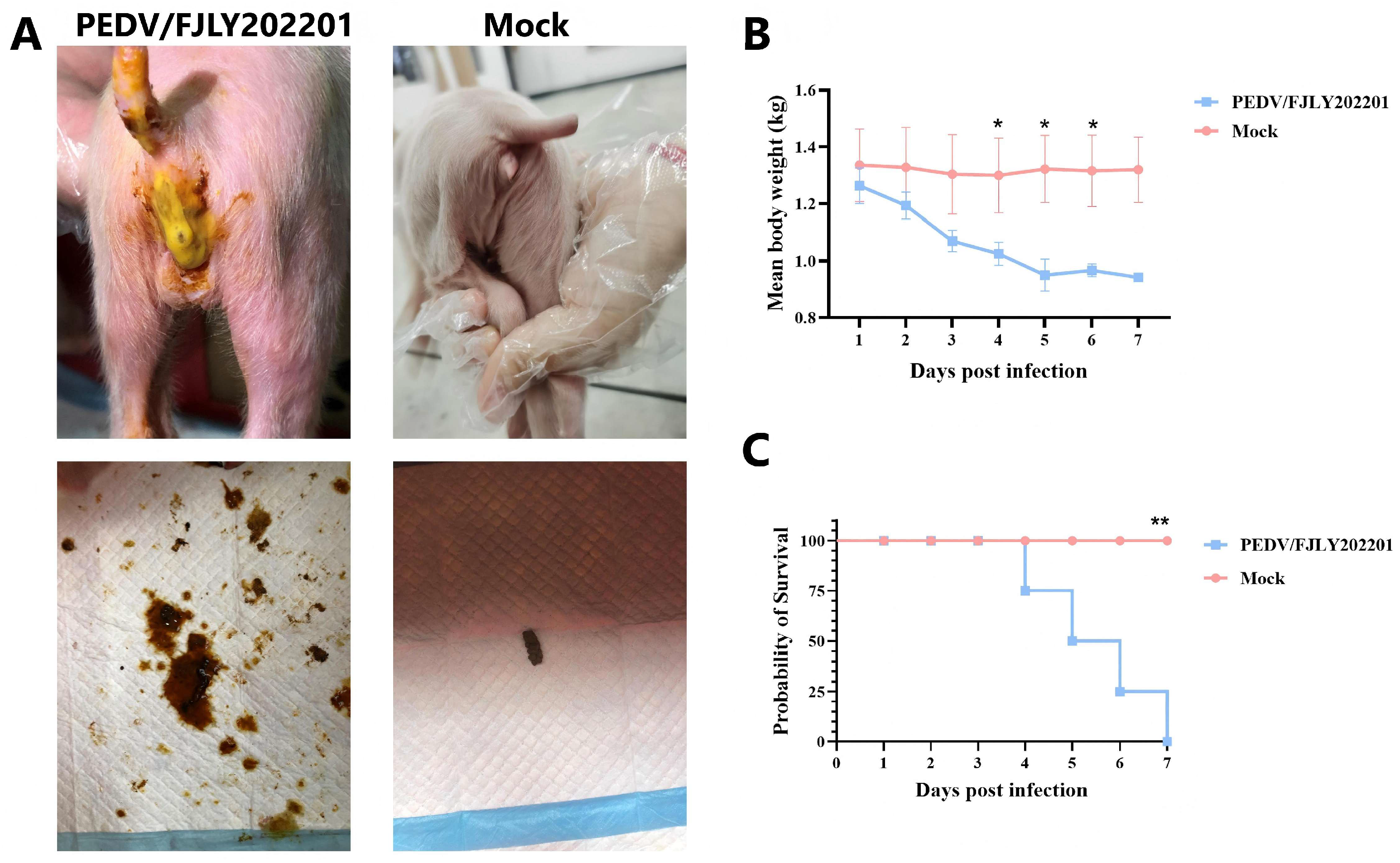 Microorganisms 14 00242 g004