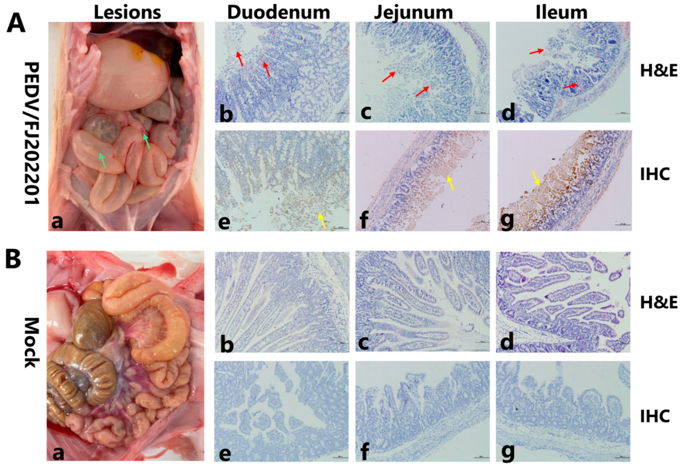 Microorganisms 14 00242 g005
