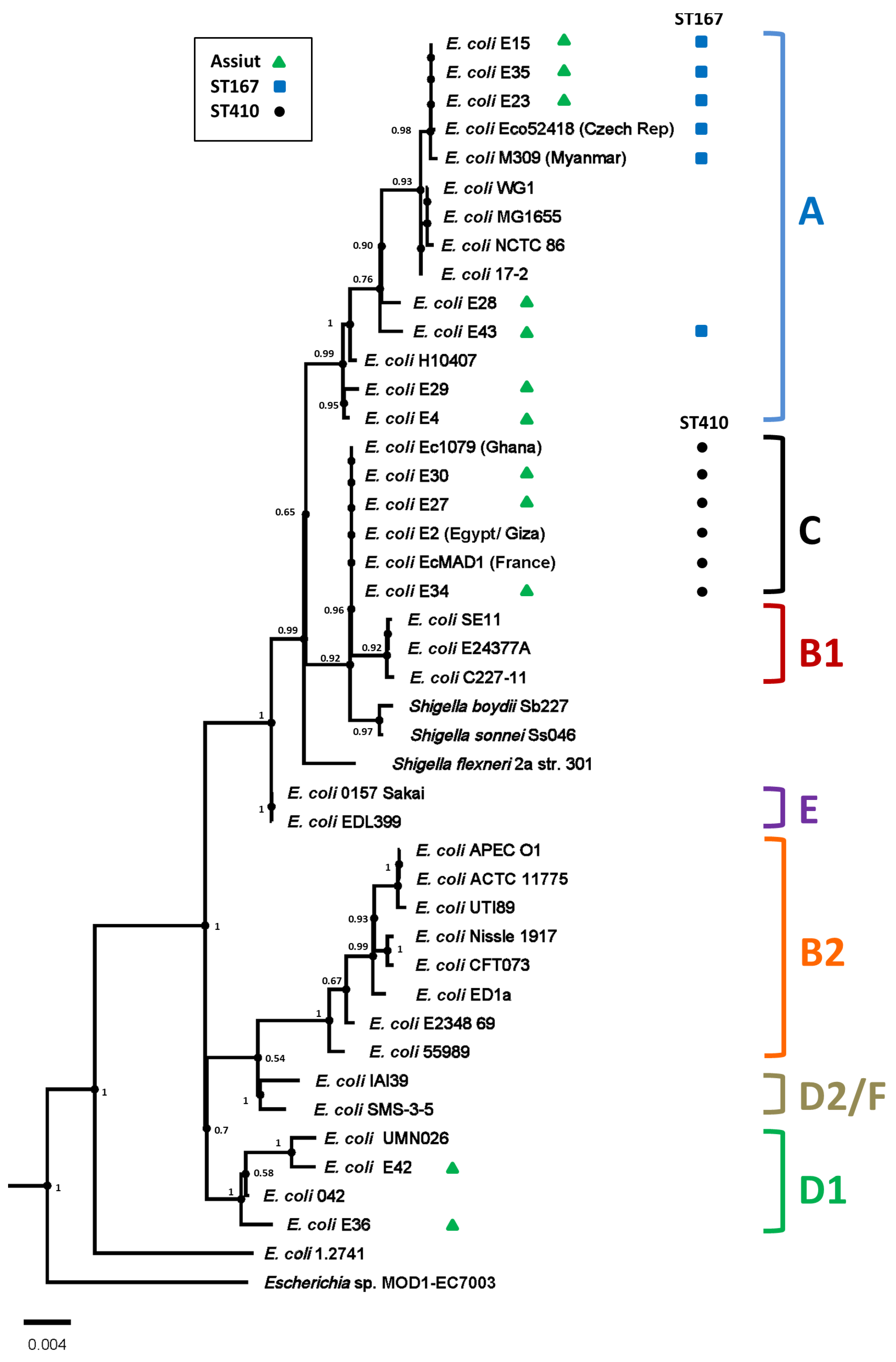 Microorganisms 14 00247 g001