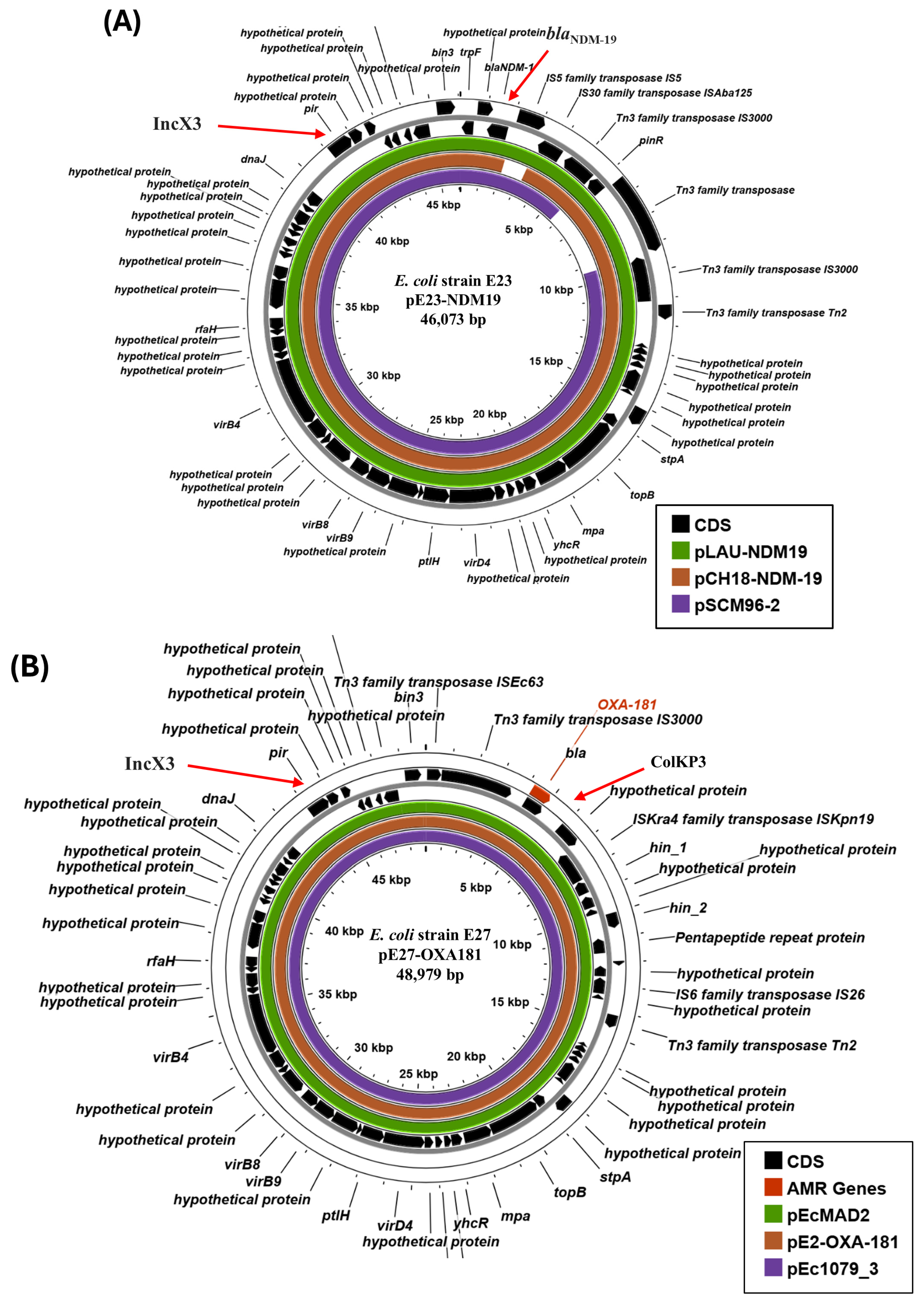 Microorganisms 14 00247 g002