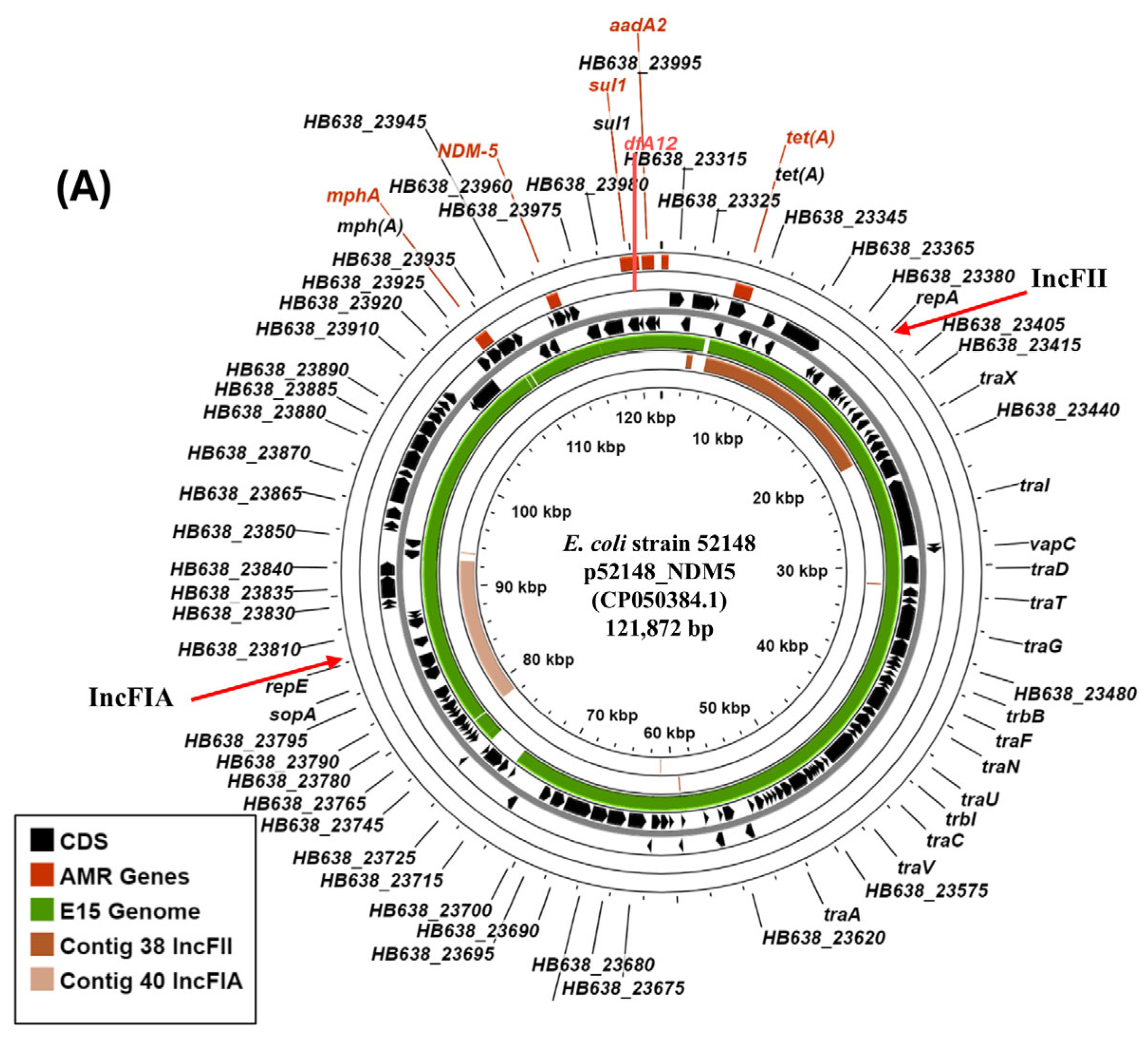 Microorganisms 14 00247 g003a