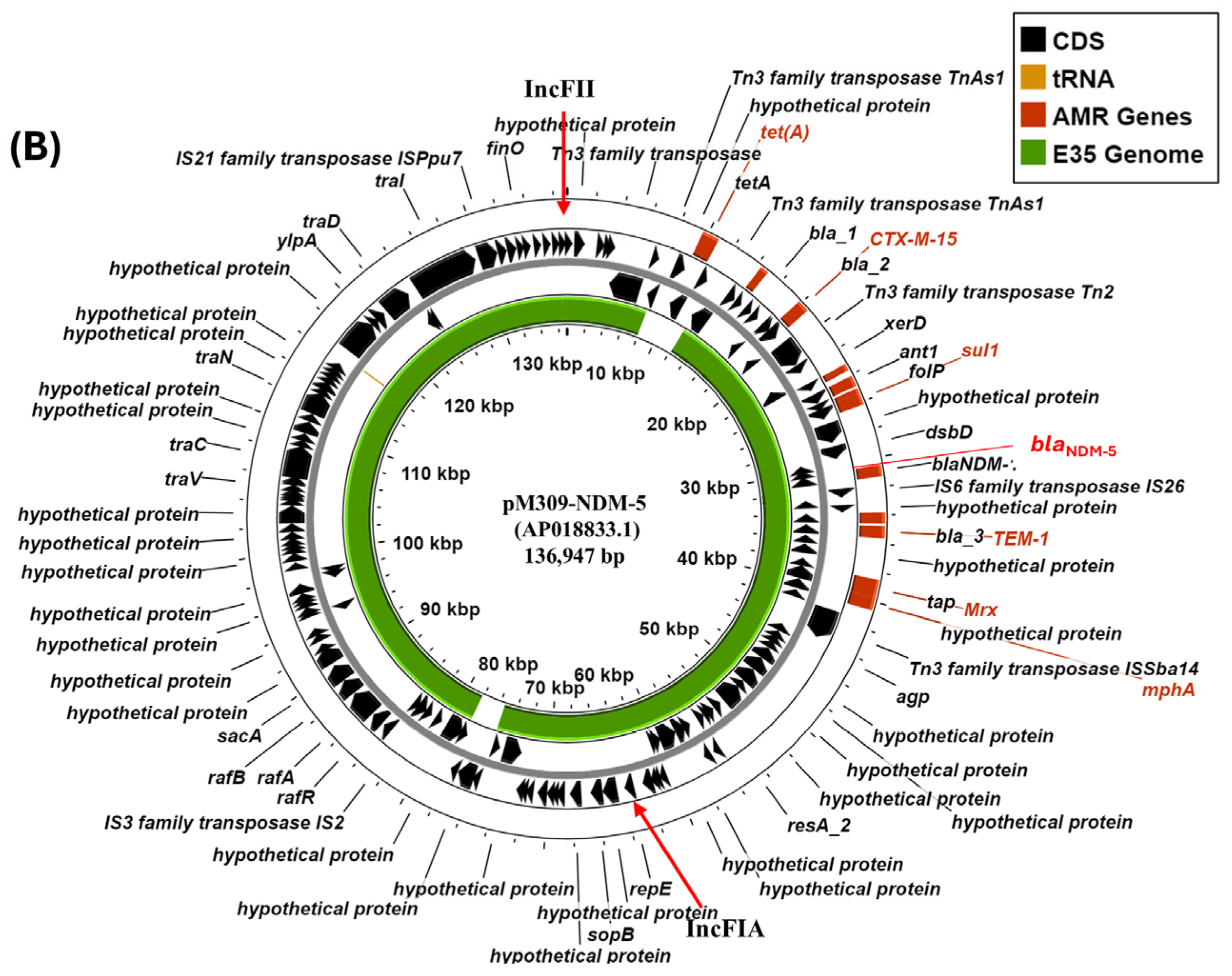 Microorganisms 14 00247 g003b