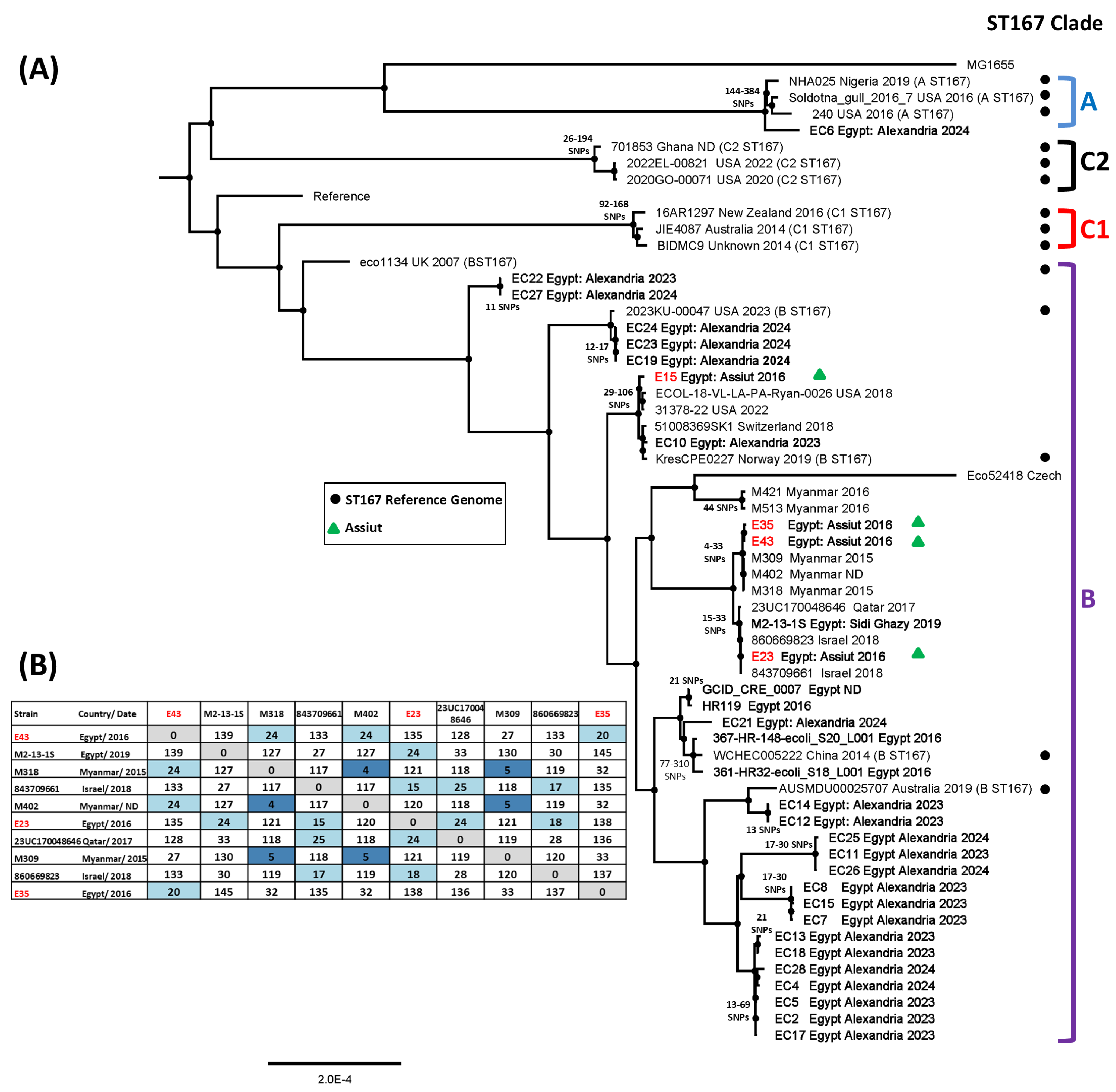Microorganisms 14 00247 g004