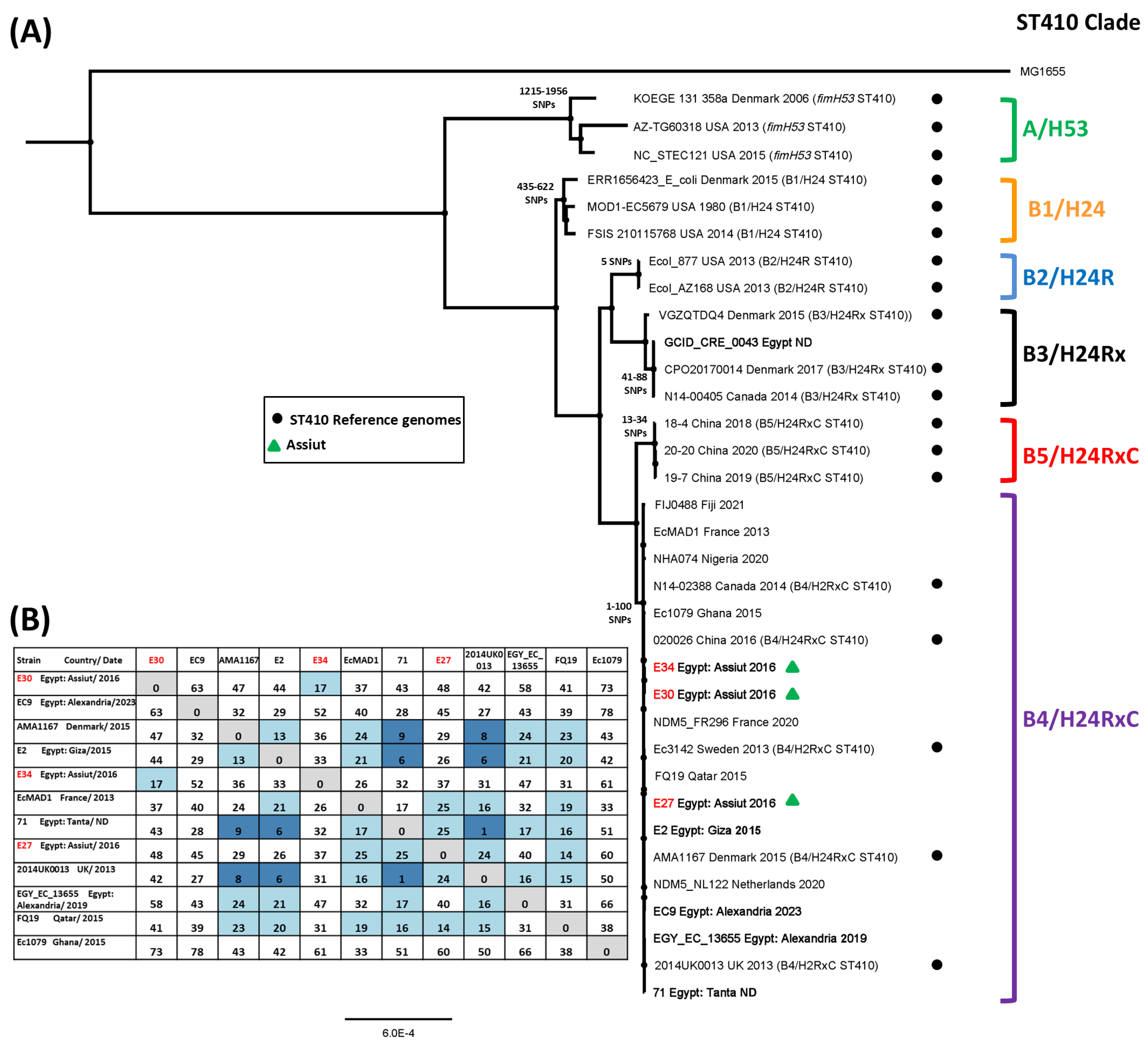 Microorganisms 14 00247 g005