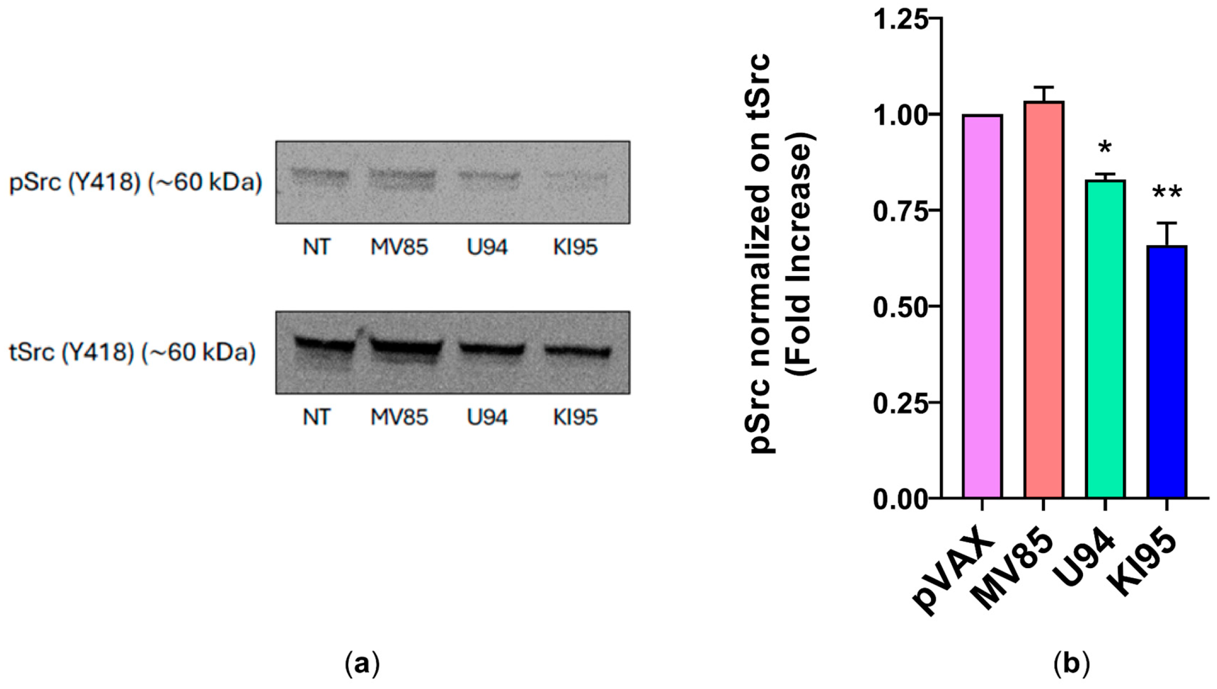 Microorganisms 14 00255 g007