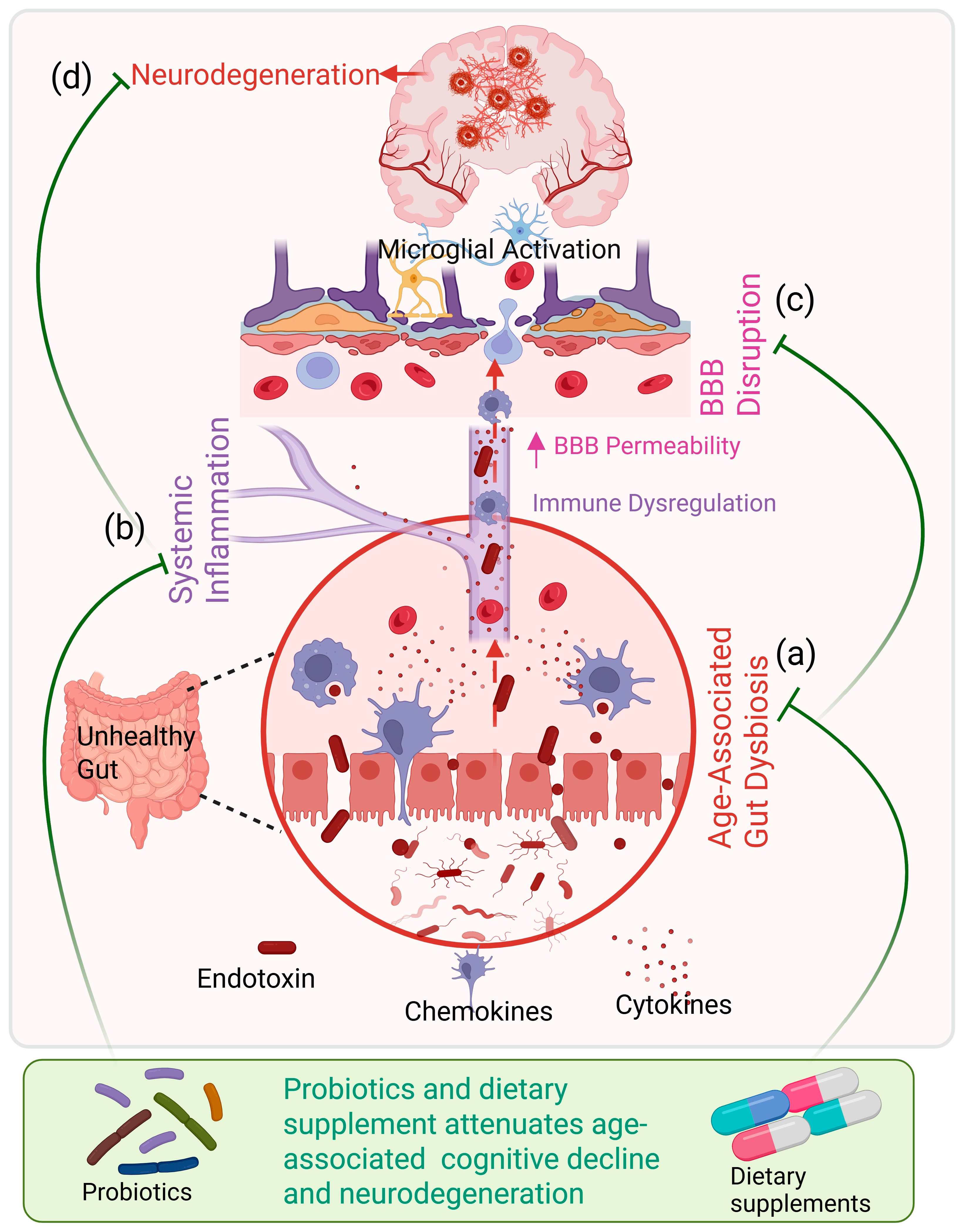 Microorganisms 14 00290 g001