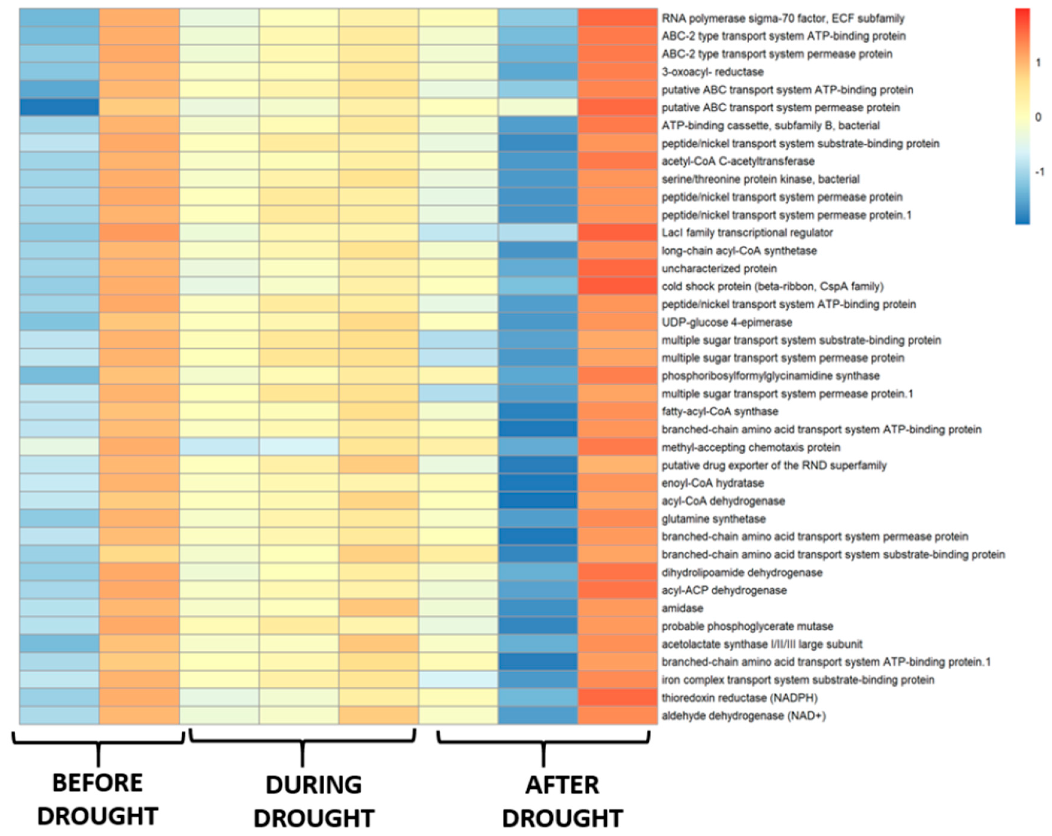 Microorganisms 14 00291 g005