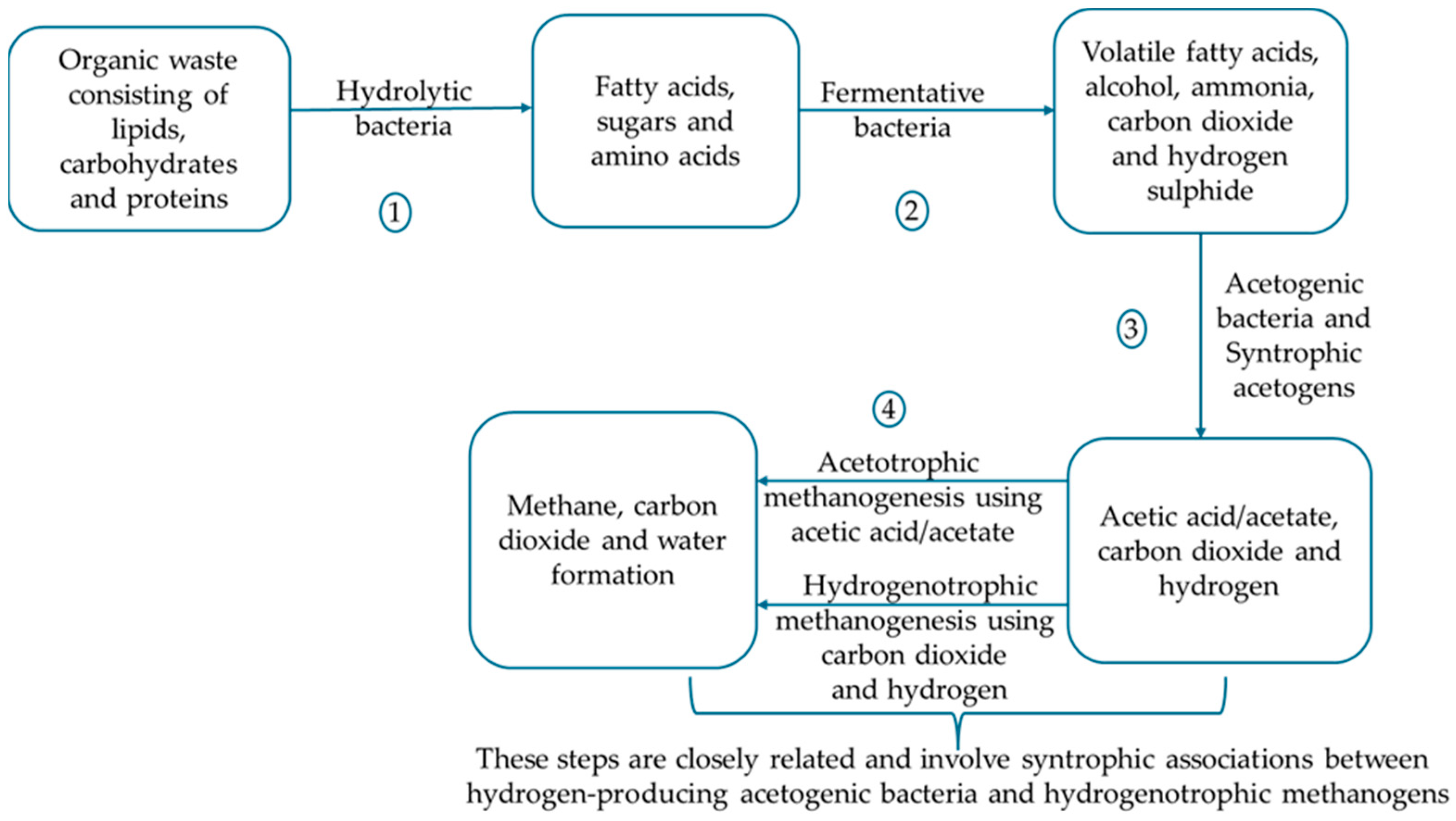 Microorganisms 14 00299 g002