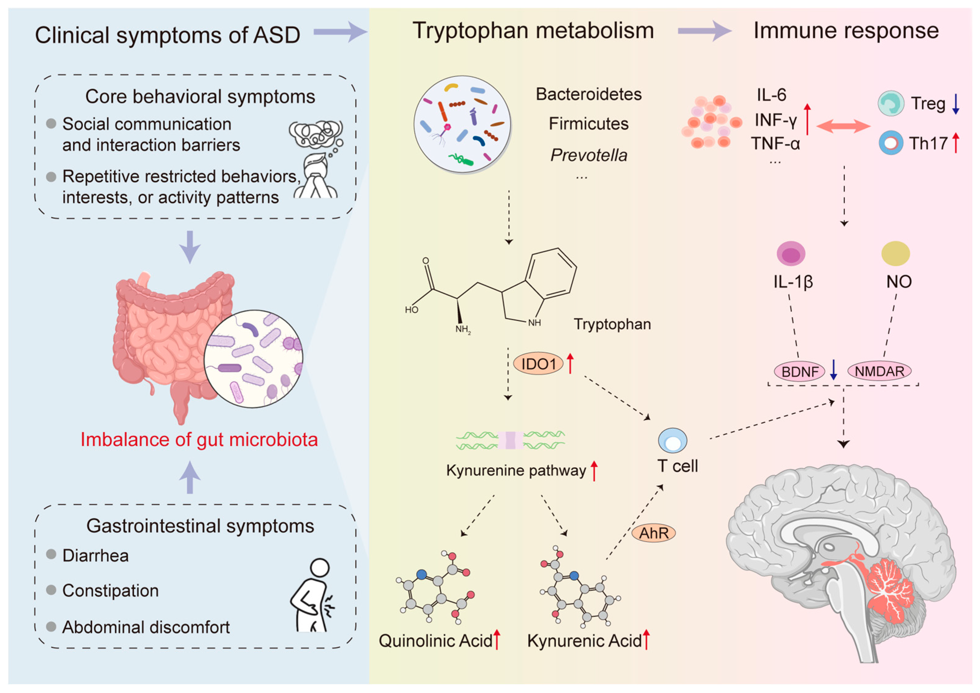 Microorganisms 14 00312 g001 Microorganisms 14 00312 g001