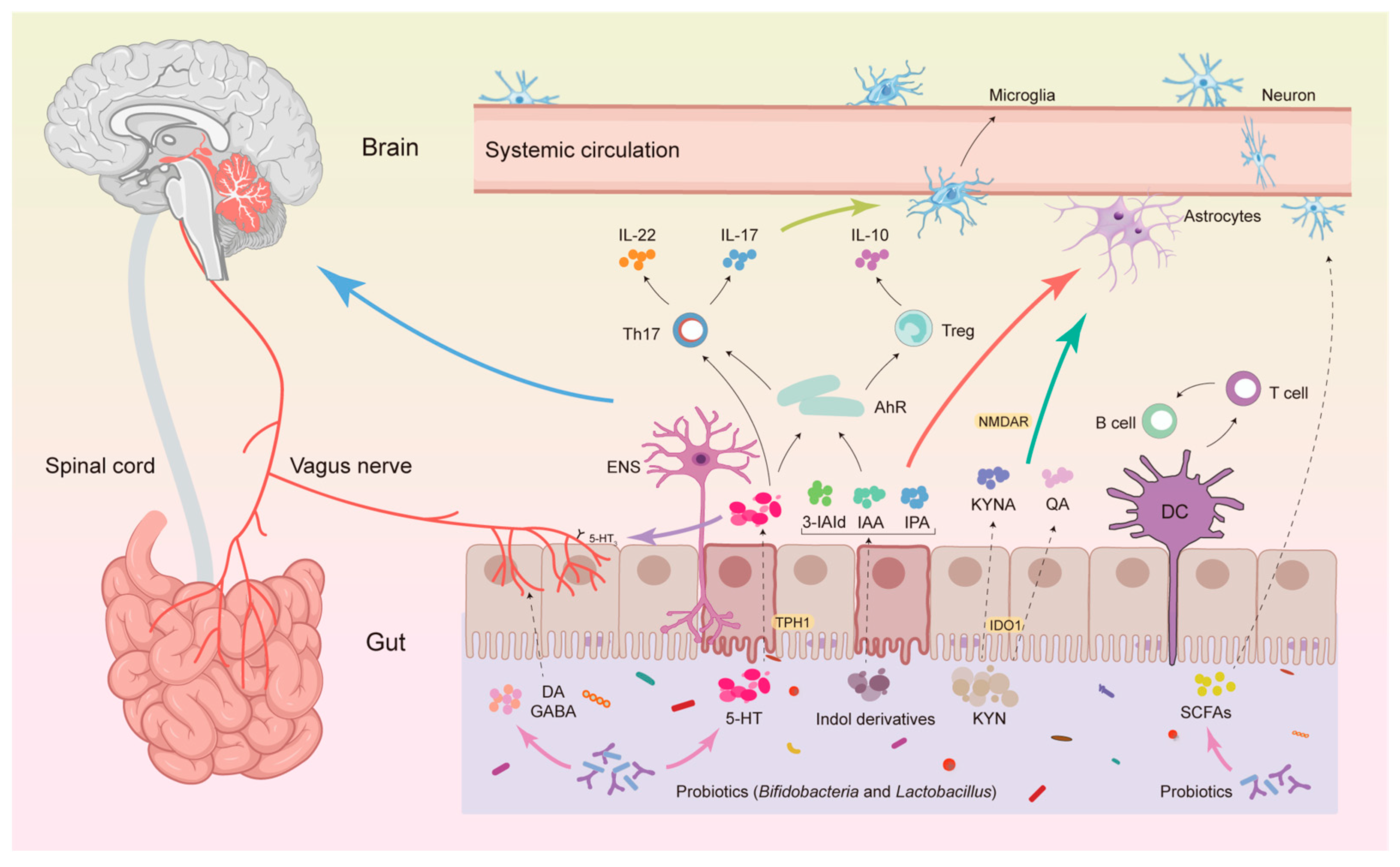 Microorganisms 14 00312 g002 Microorganisms 14 00312 g002