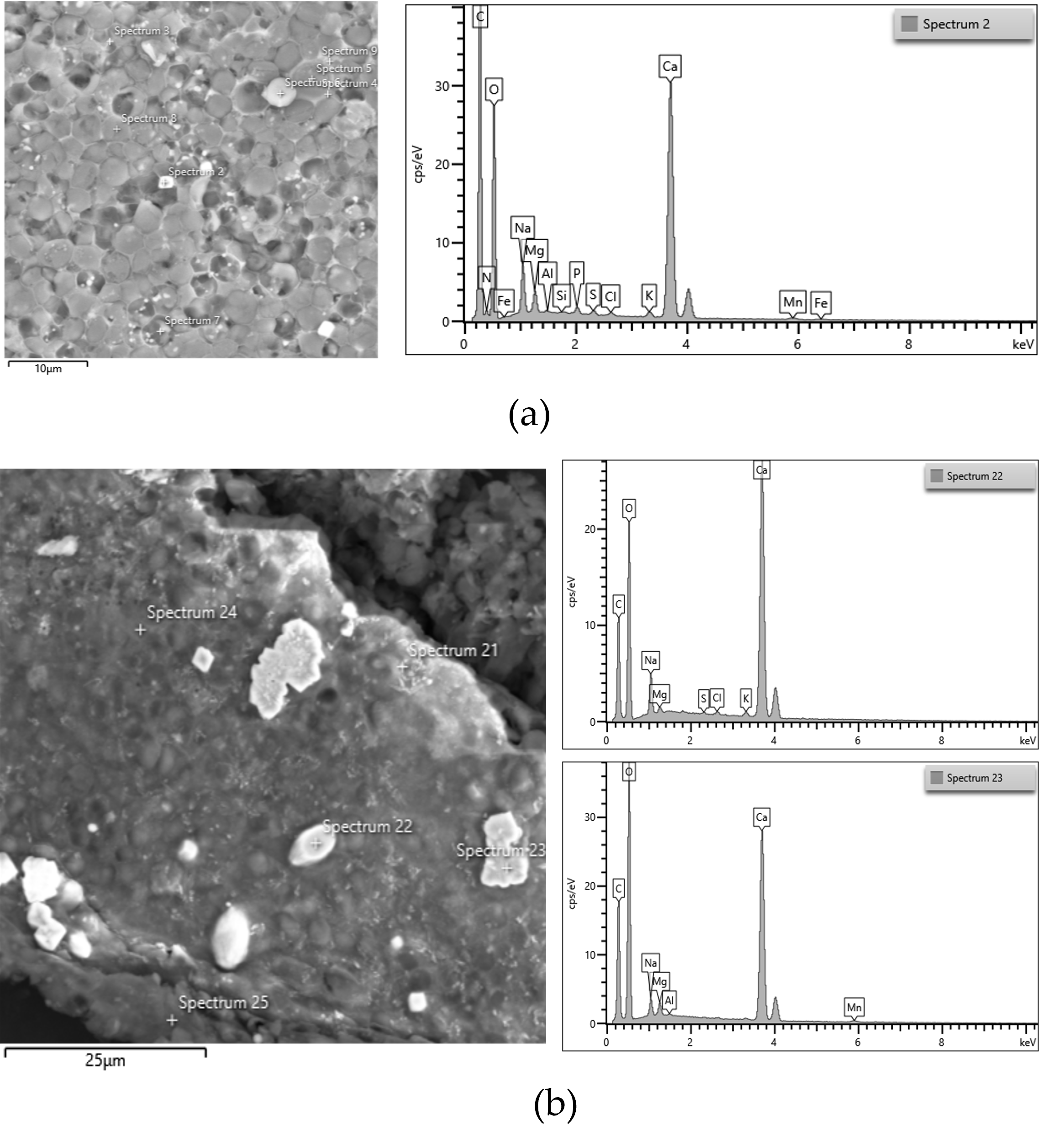 Microorganisms 14 00324 g005 Microorganisms 14 00324 g005