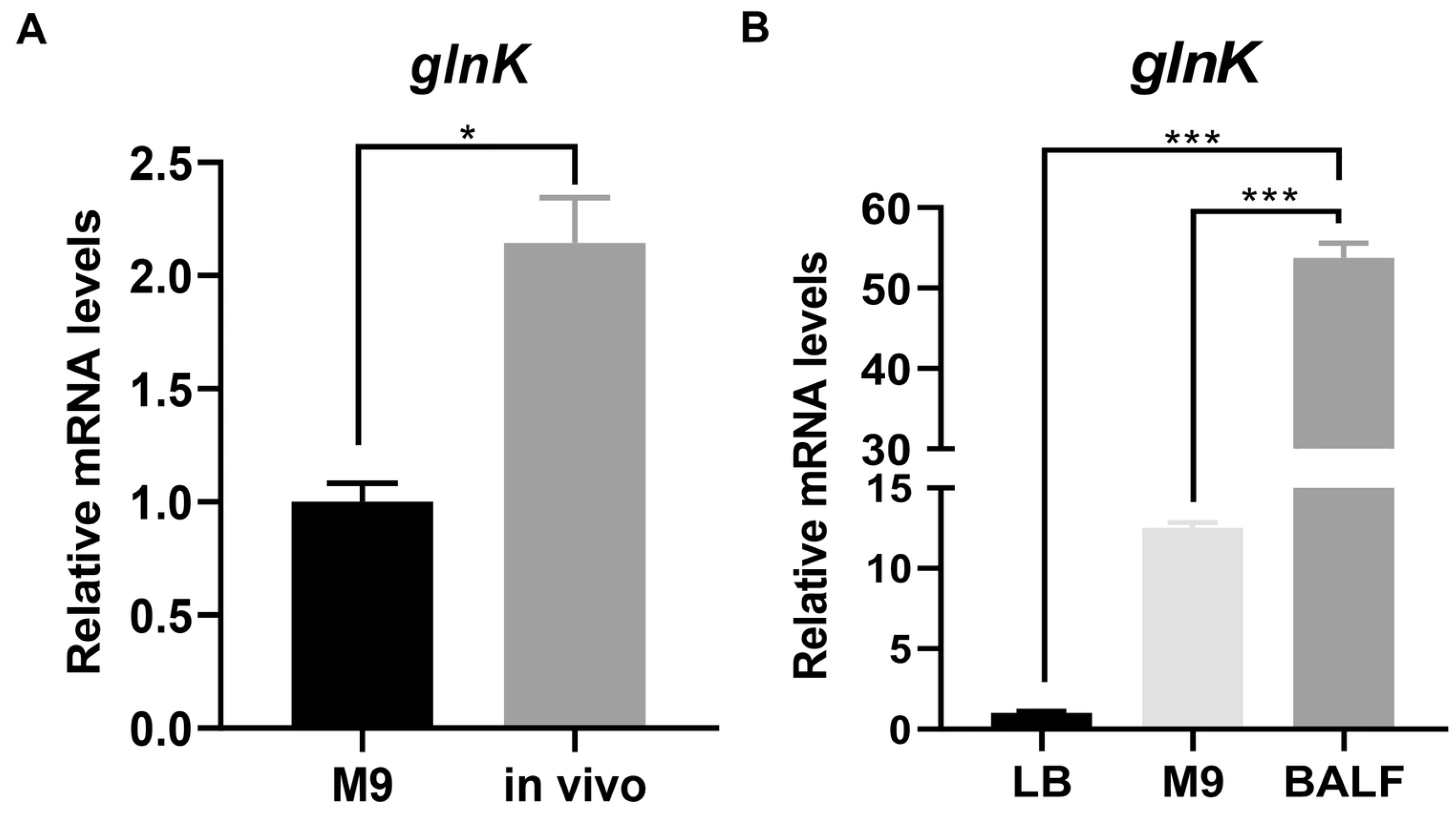 Microorganisms 14 00339 g001