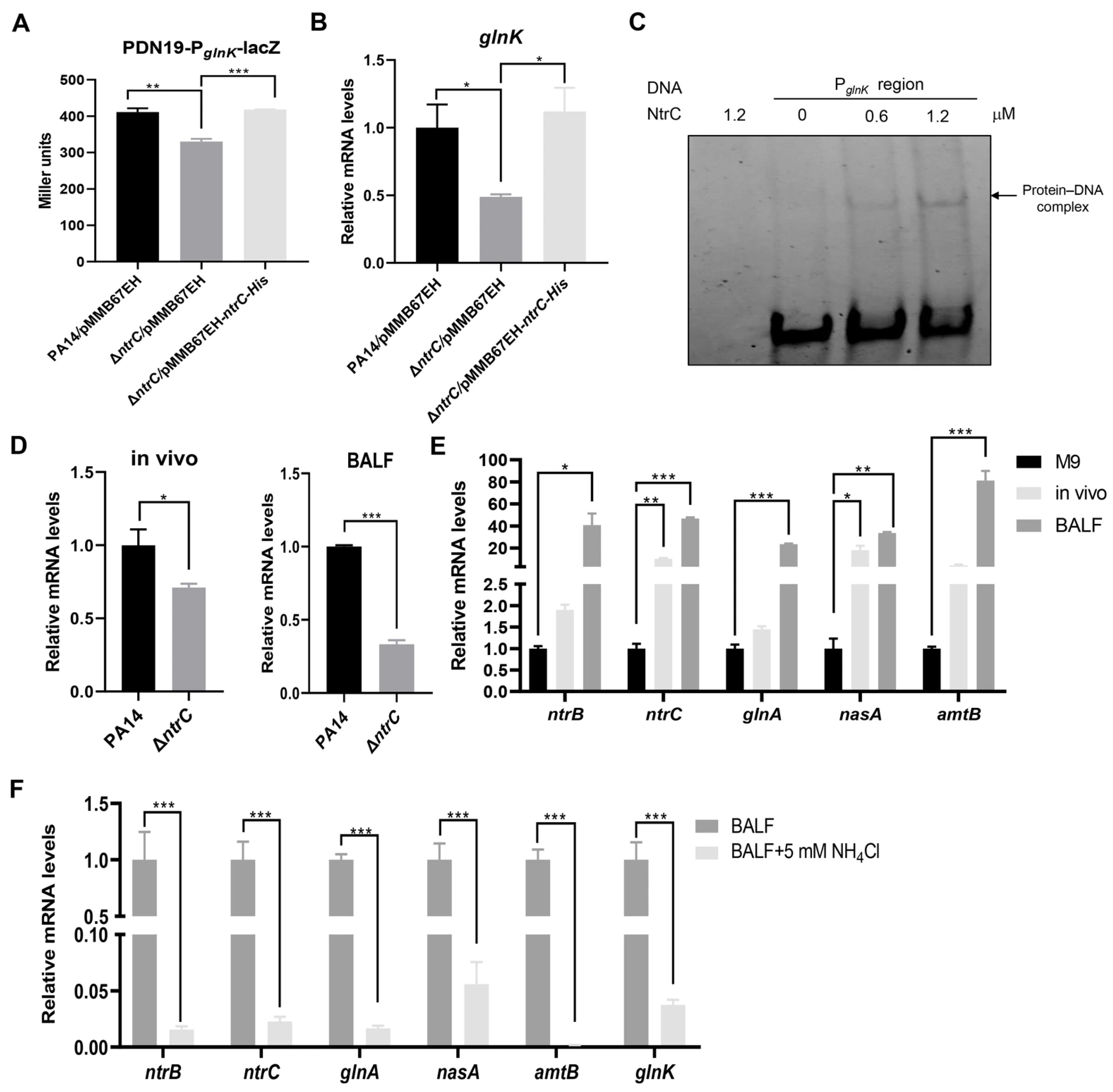 Microorganisms 14 00339 g002