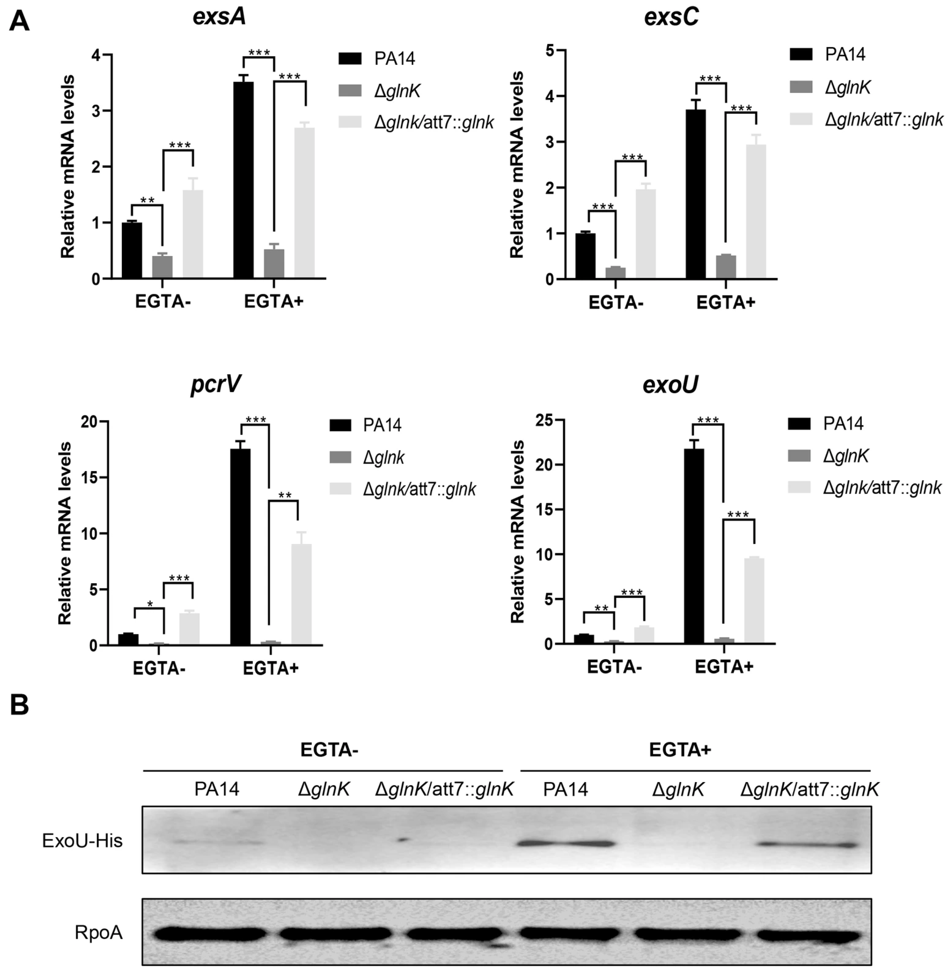 Microorganisms 14 00339 g004