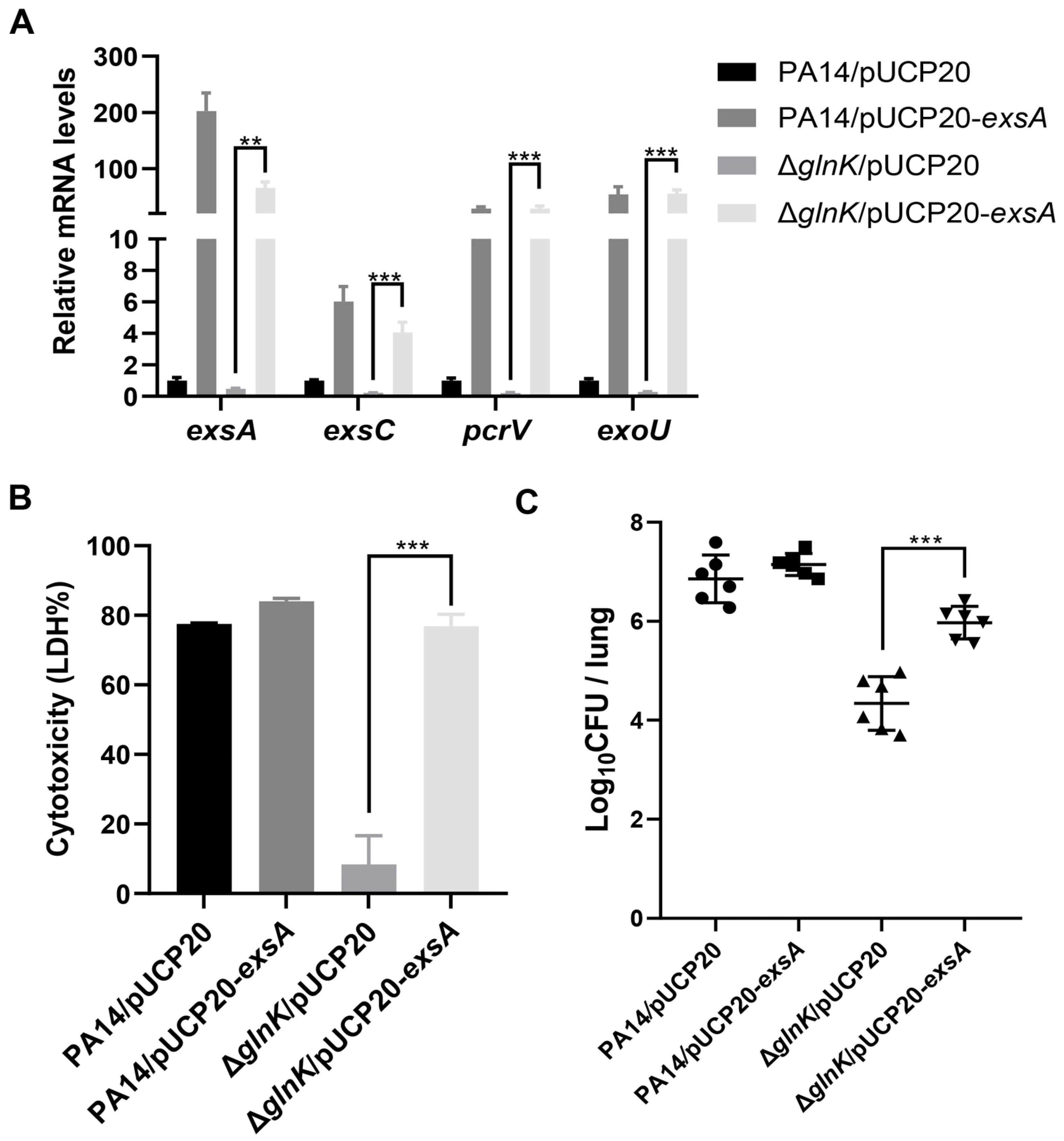 Microorganisms 14 00339 g005