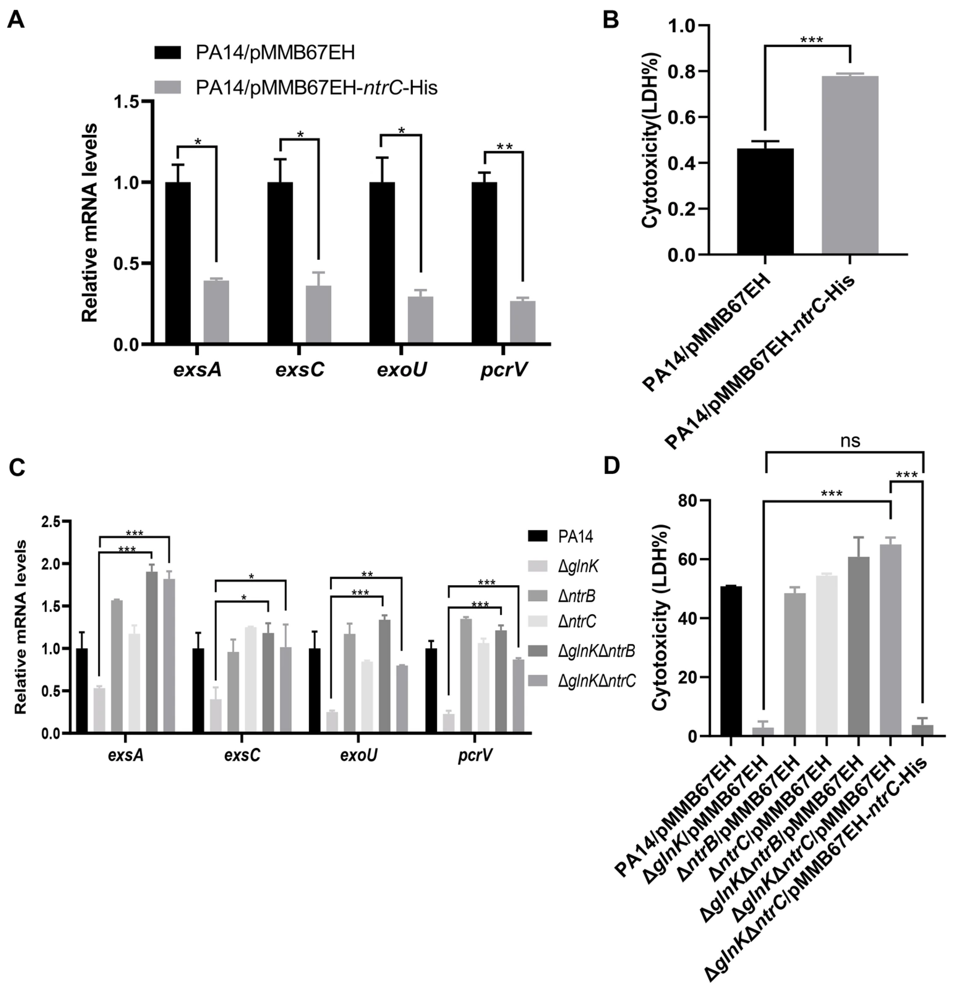 Microorganisms 14 00339 g007