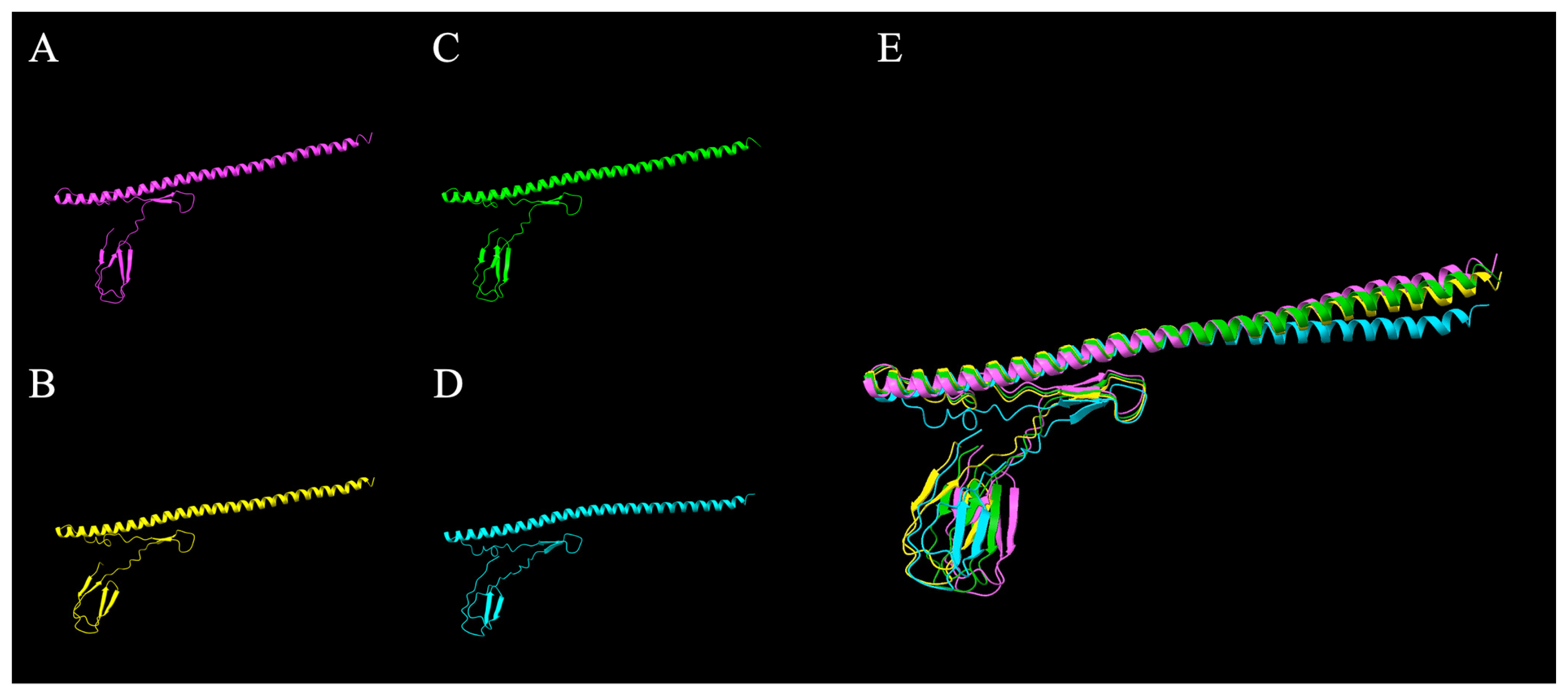 Microorganisms 14 00341 g005 Microorganisms 14 00341 g005