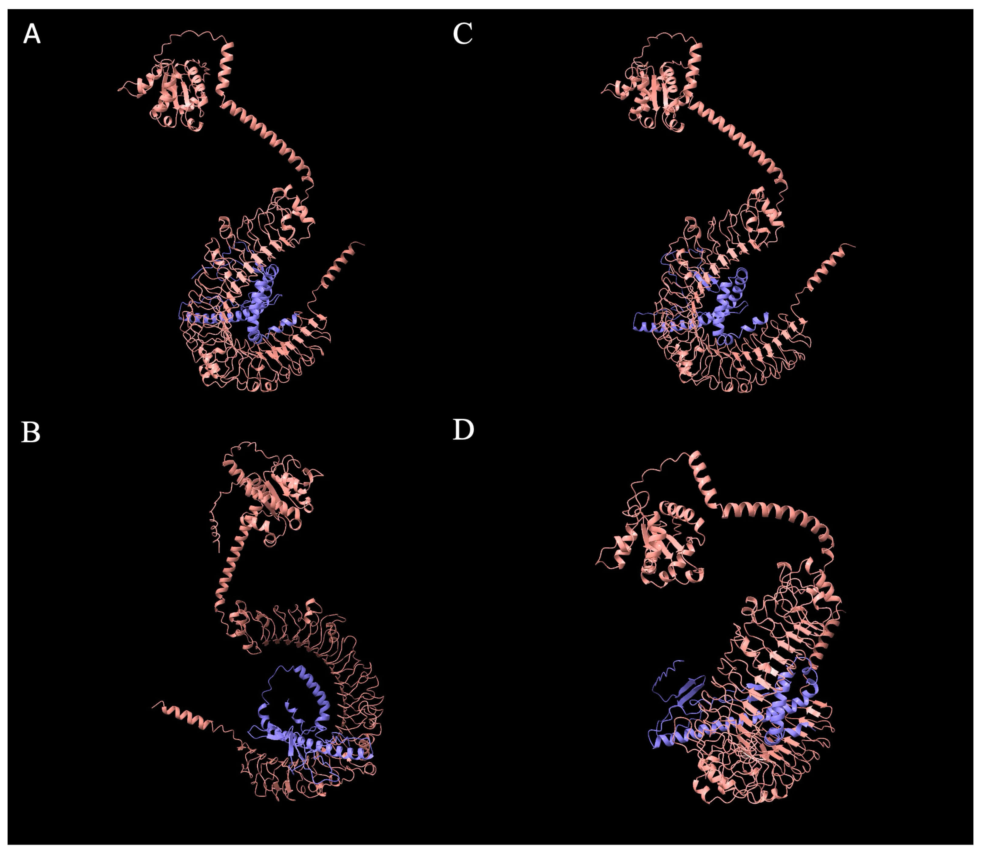 Microorganisms 14 00341 g006 Microorganisms 14 00341 g006
